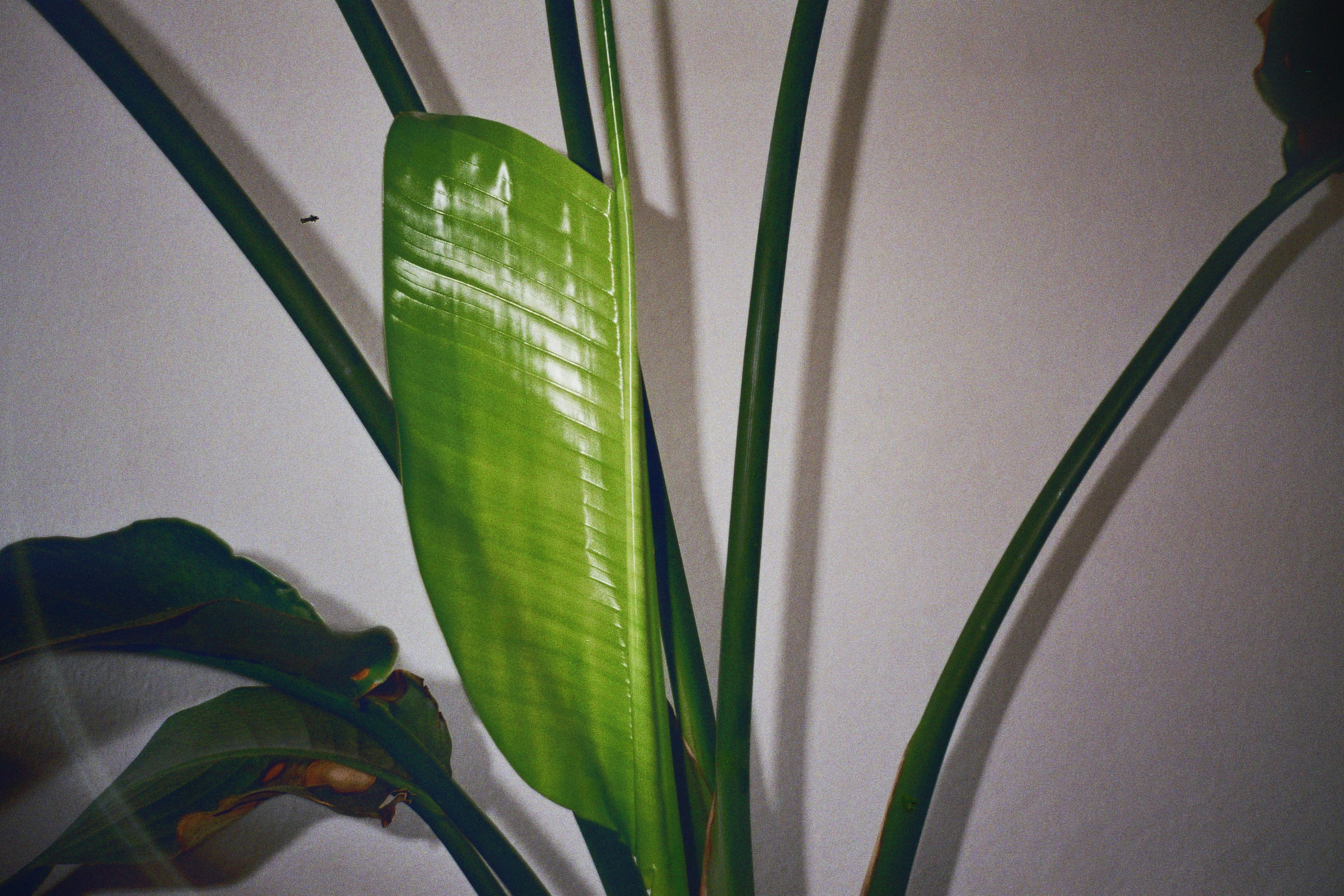 kaleidoscoping | Kerstin Meißner / krstn