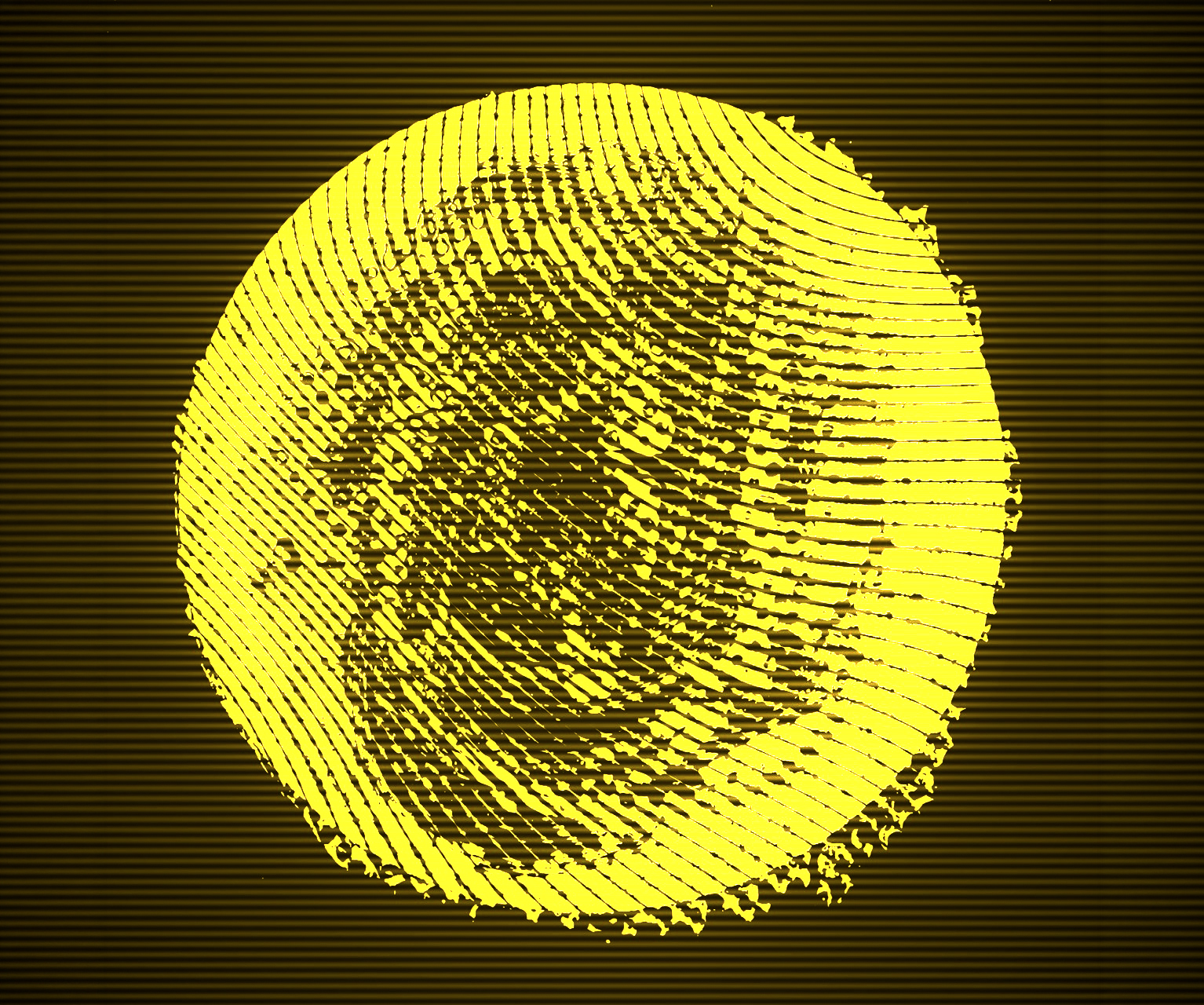 ECO: The ExtraCorporeal Orchestra | SONIC SUPPORT, Tom Harris & Abbas Zahedi