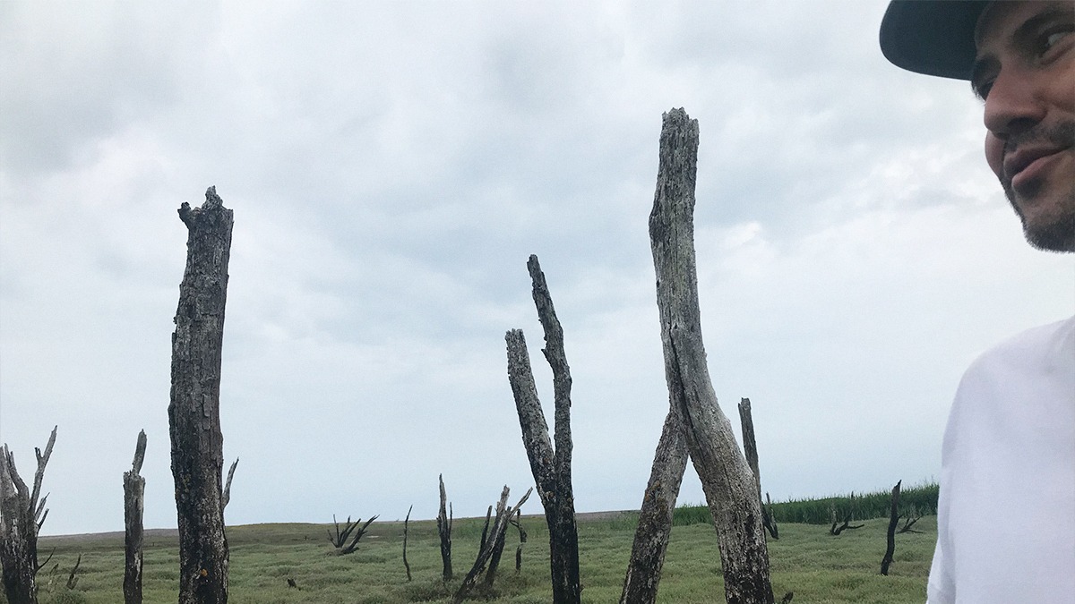 Bogdan Dražić  | Residency