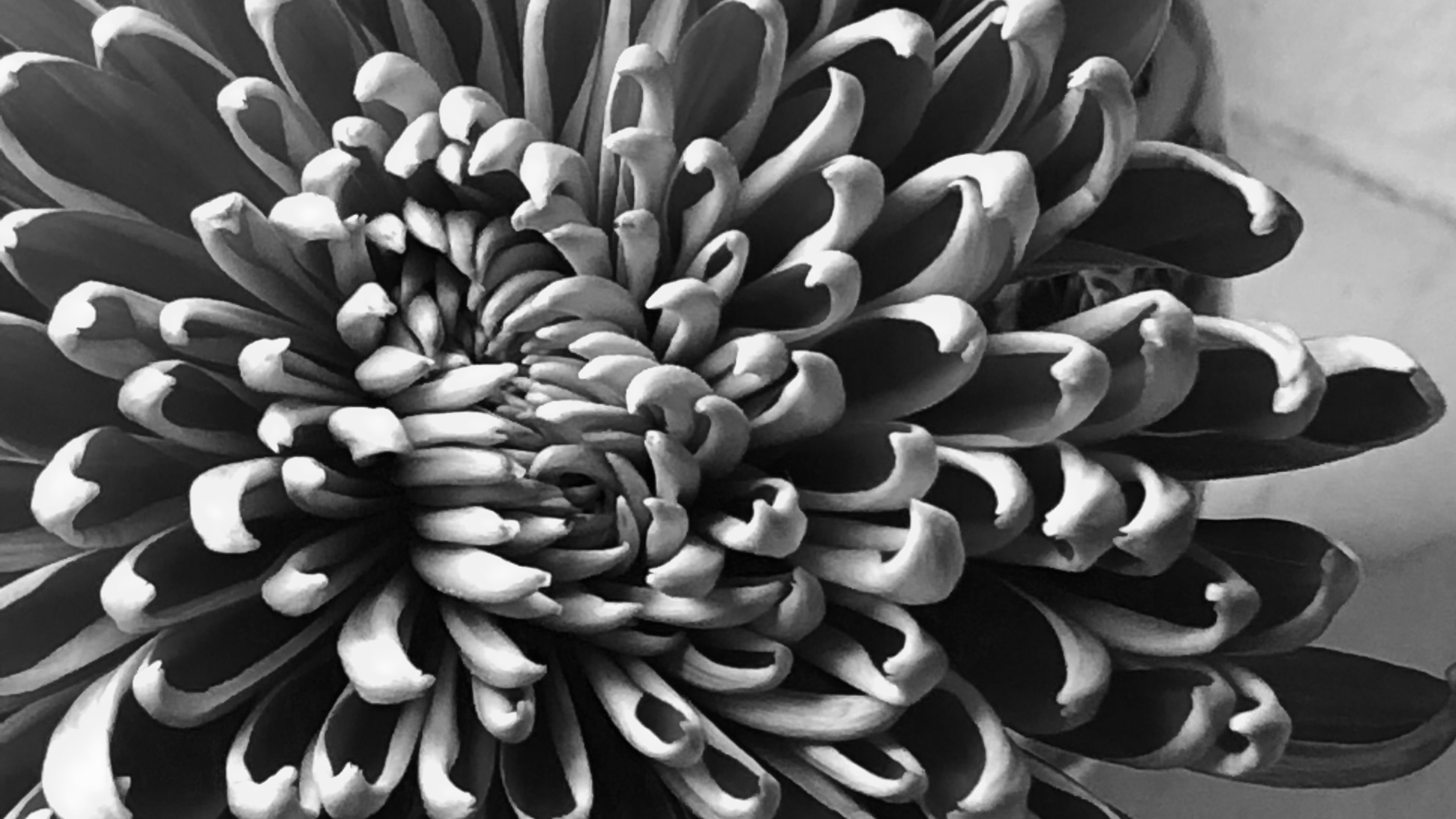 Walking Through Heaven | strngboy & Laurel