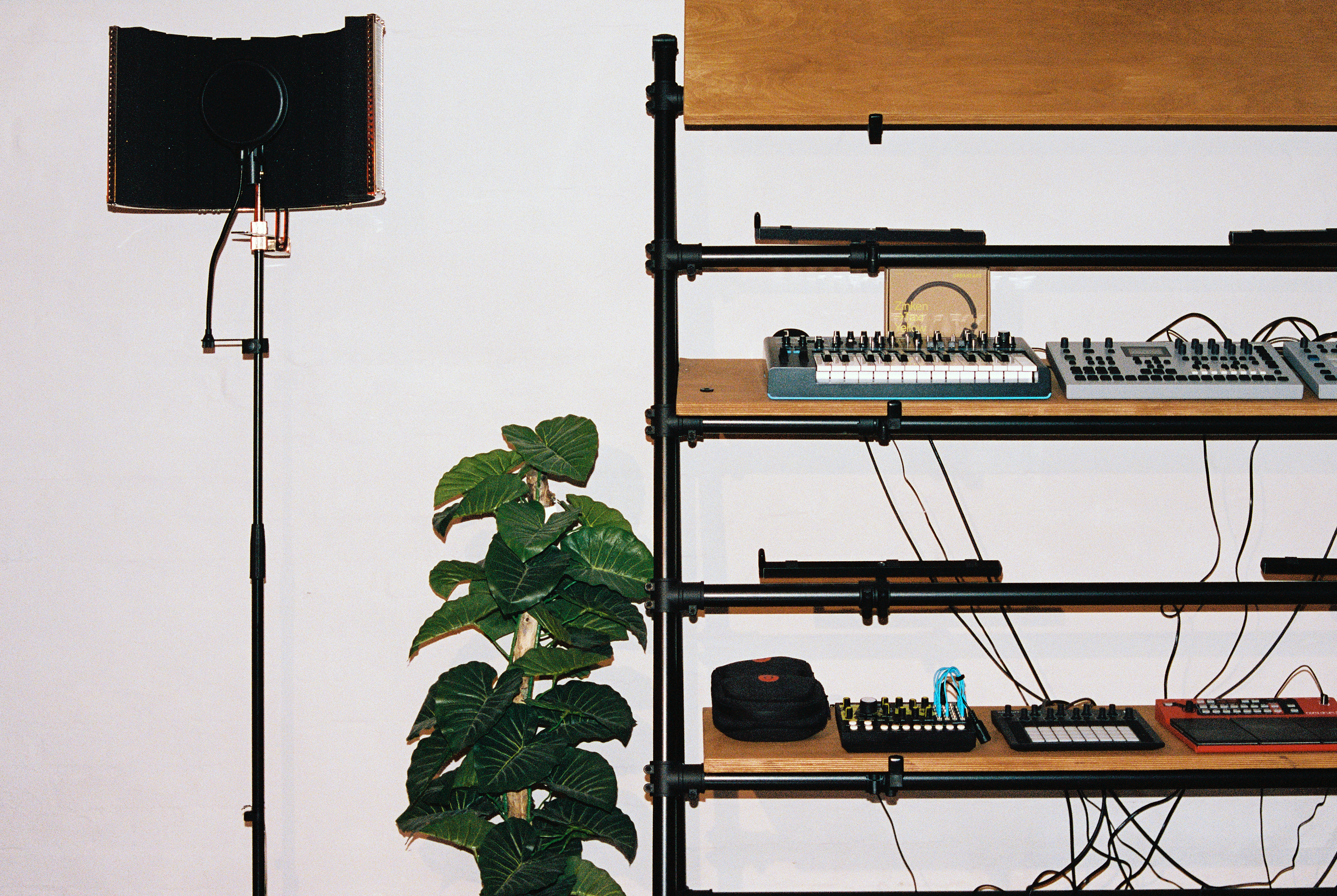 Look back at our mentorship program with Liebeskind Berlin