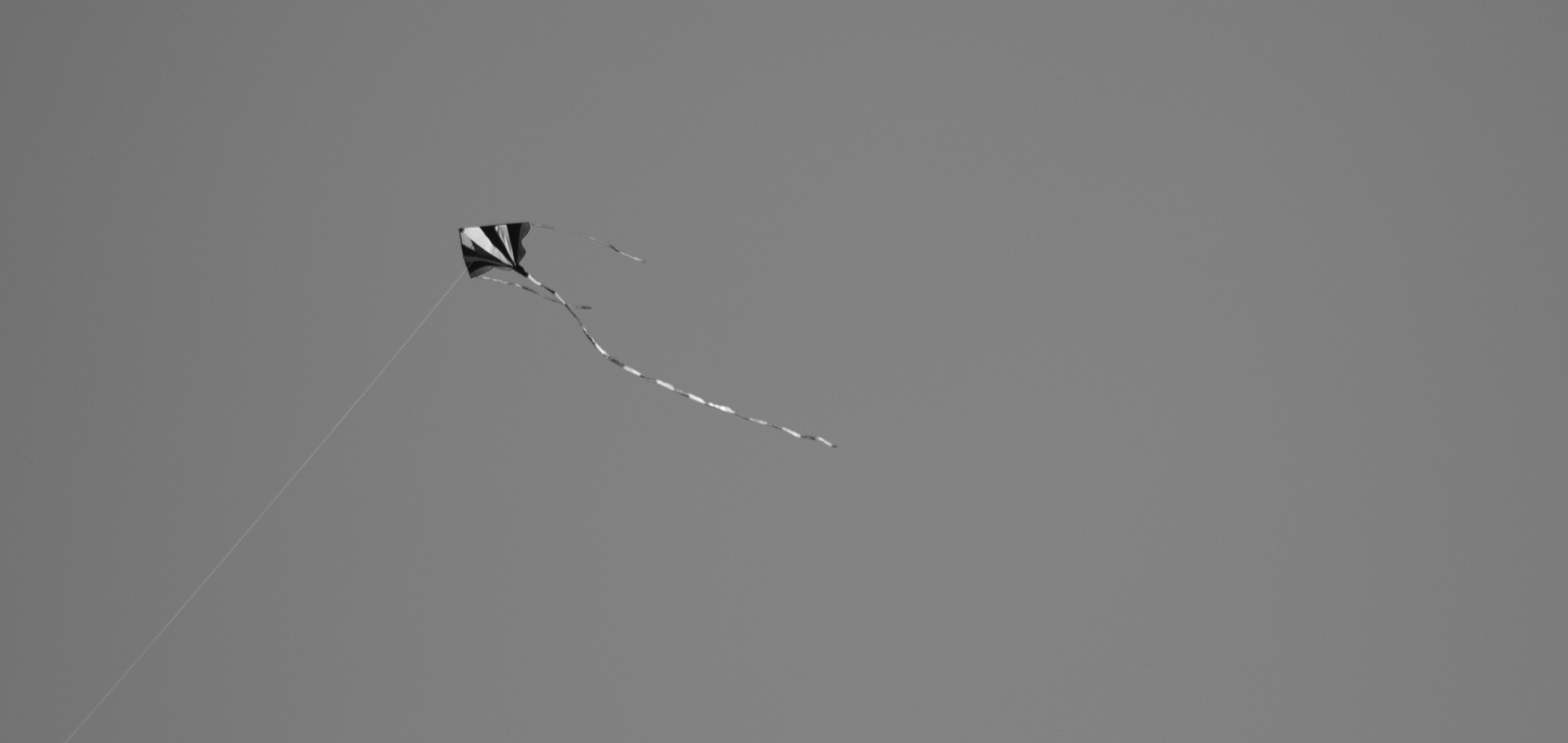 press D | lady and the score