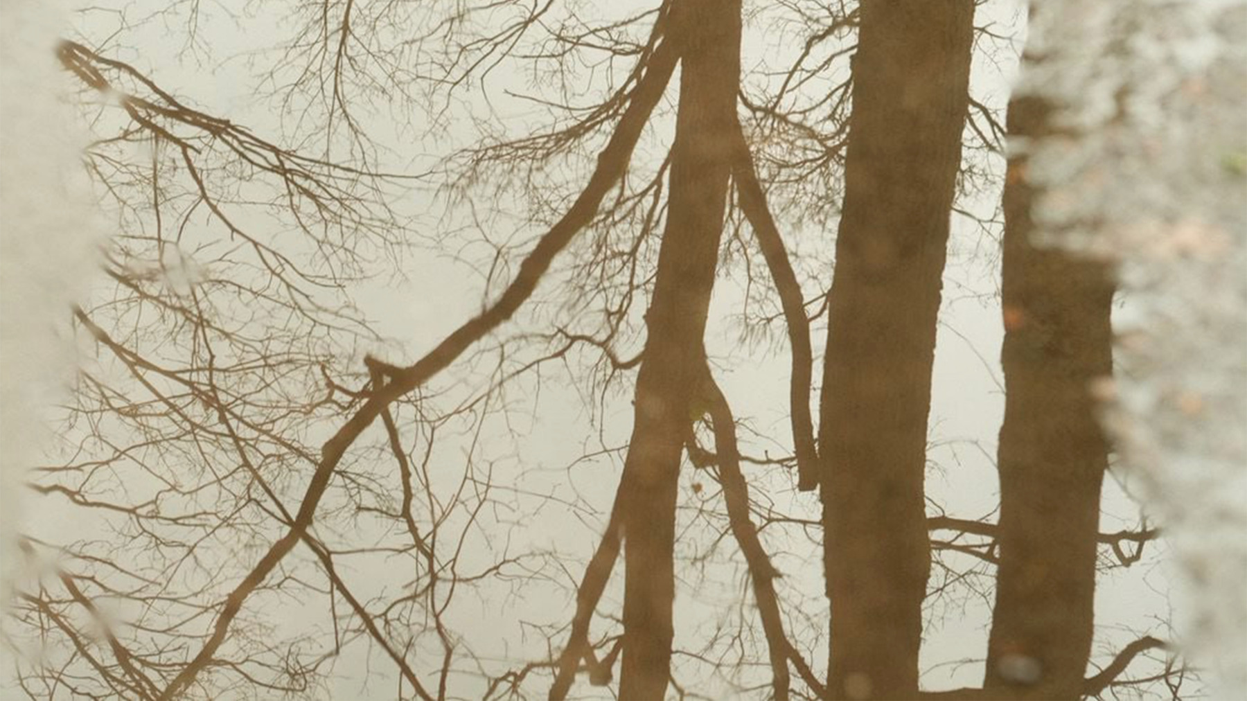 enoaudio: Love from Kanzow | Stereociti