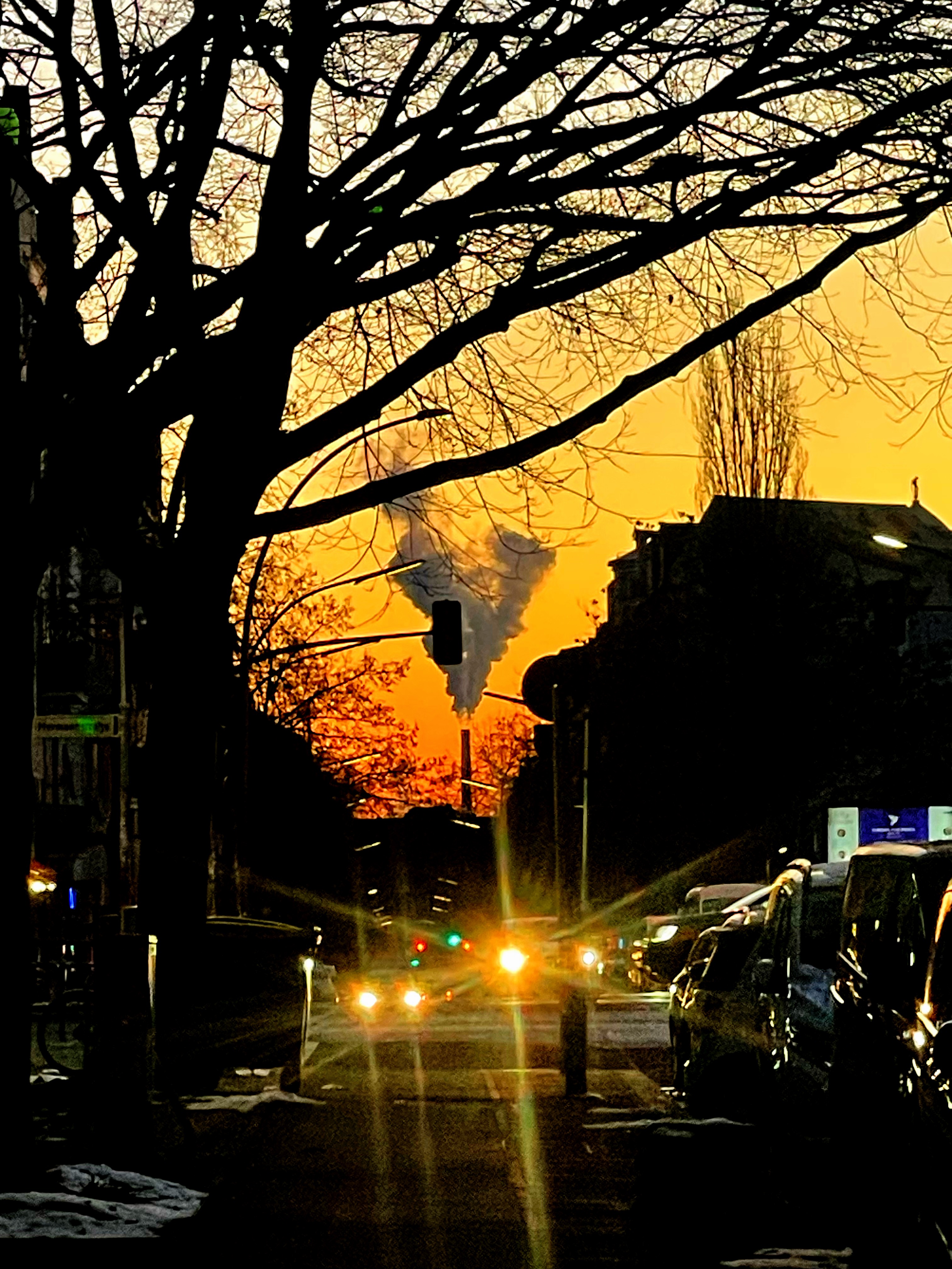 Wet Dreams | King Sleepy