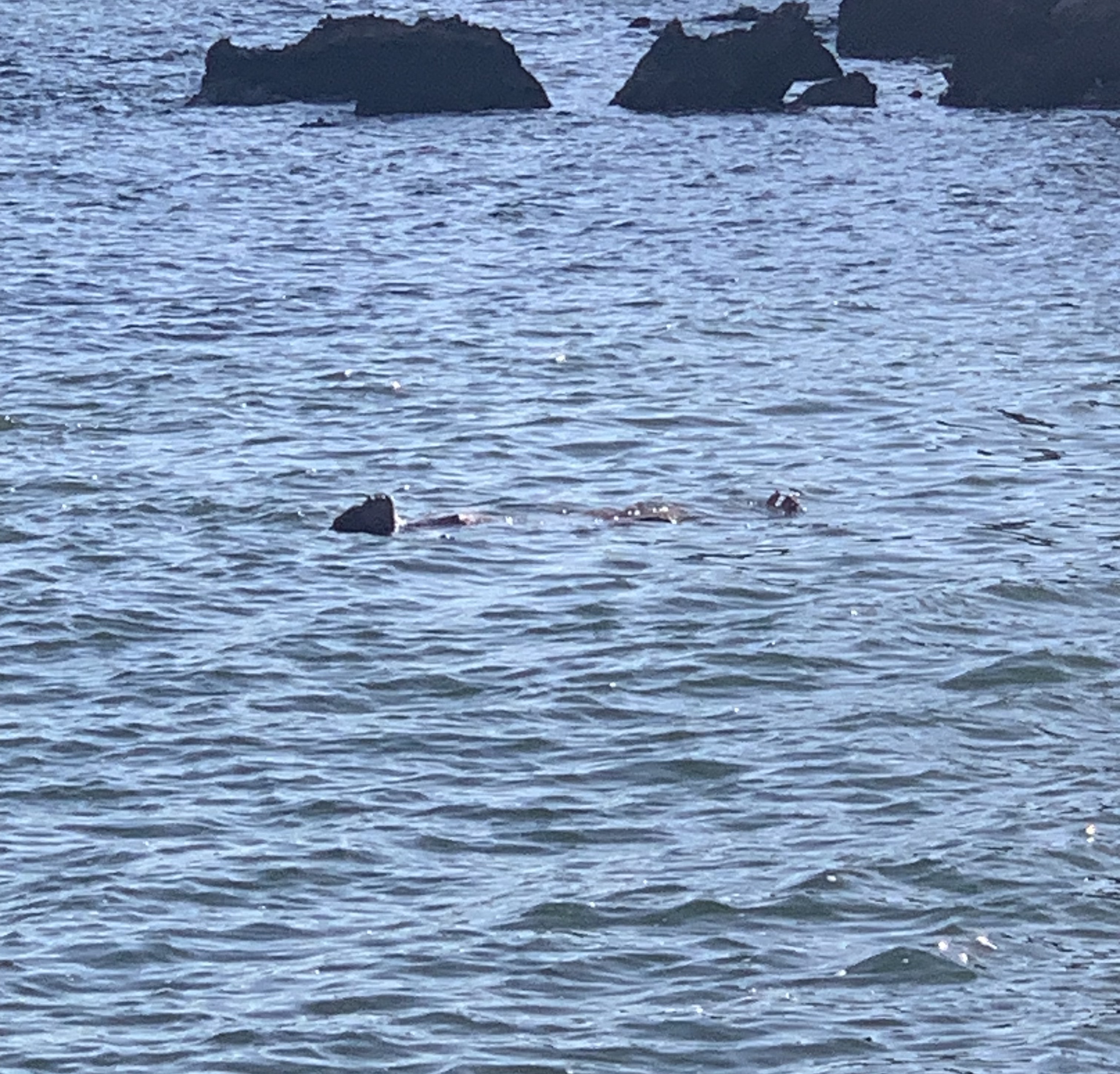 ADUNO Soundsystem | modú