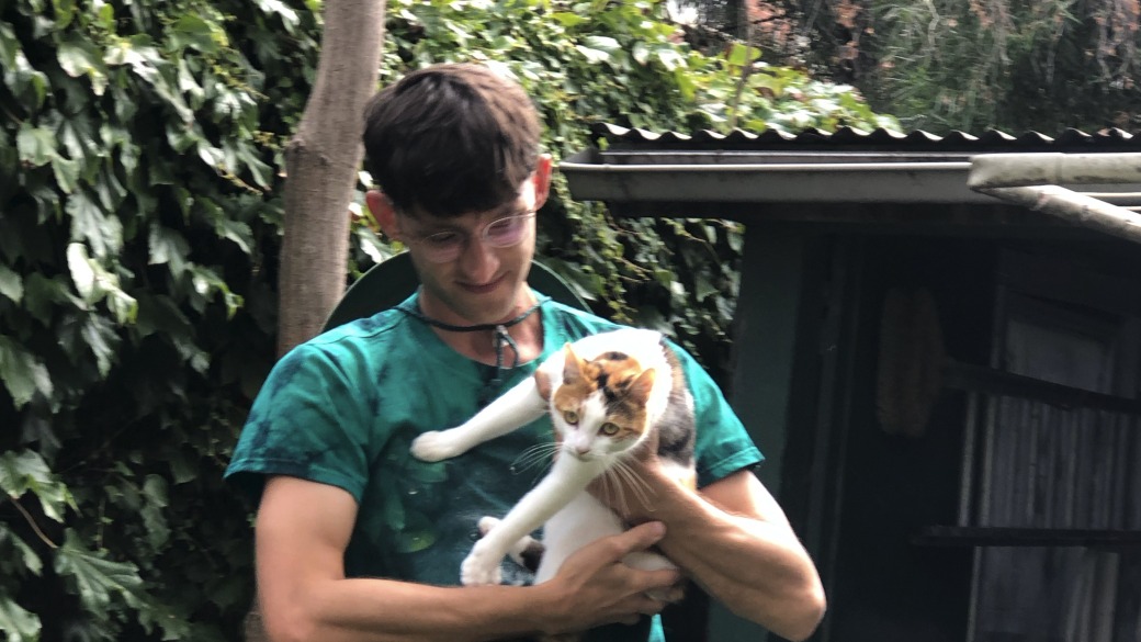 Starboard Show | Dommie Soup