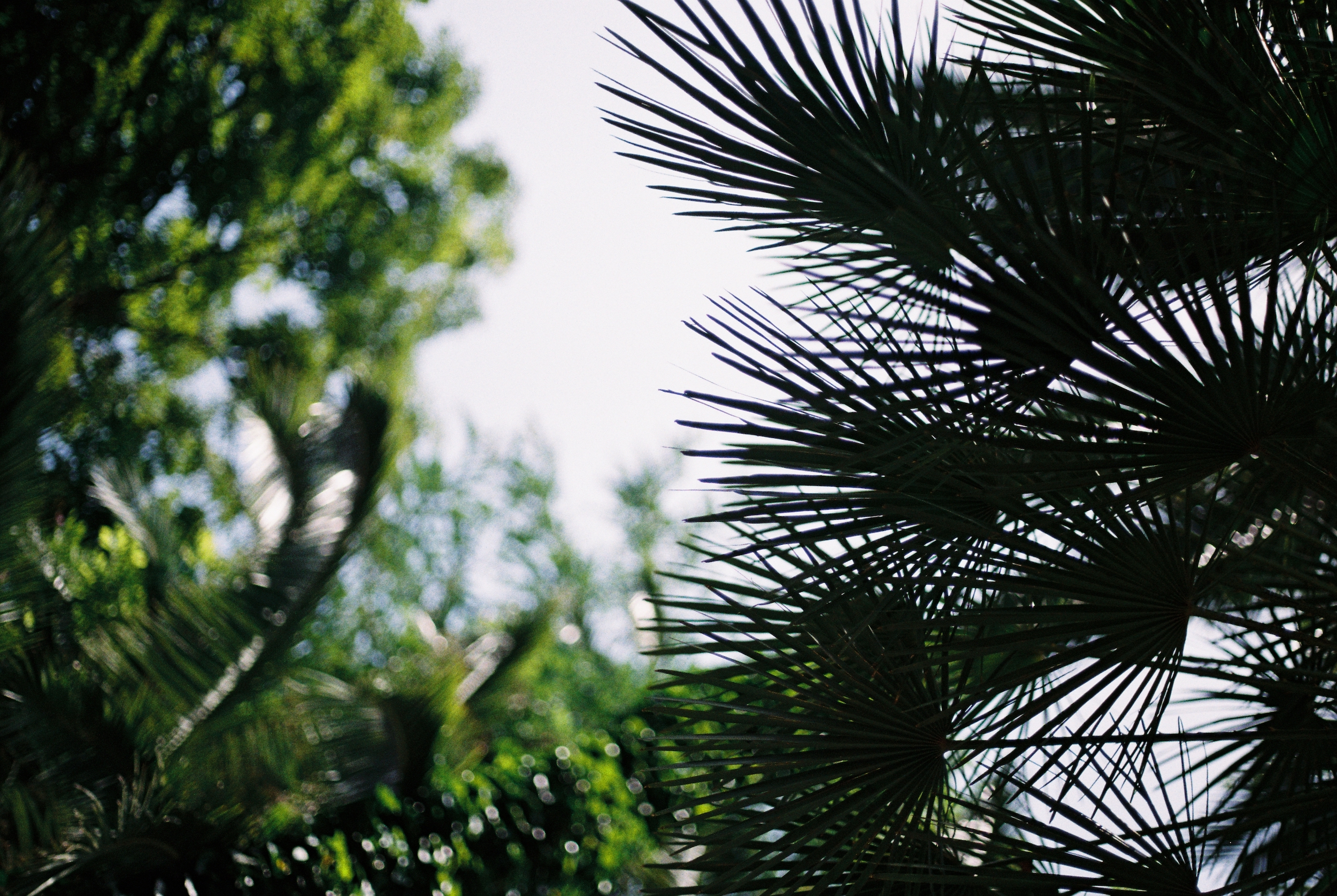 Loose Ends | Kemback