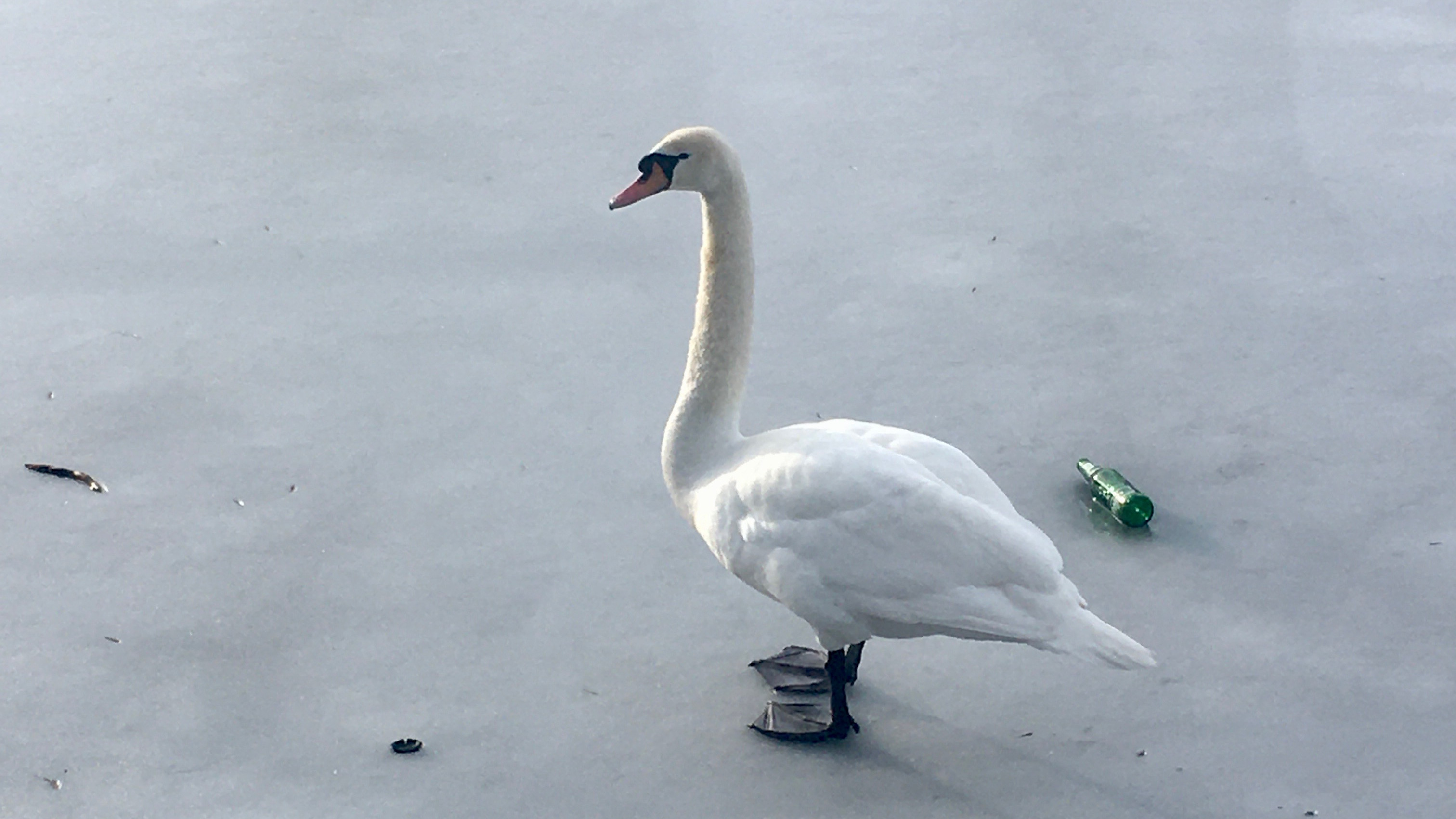 COMPLEX | resom & Mareena