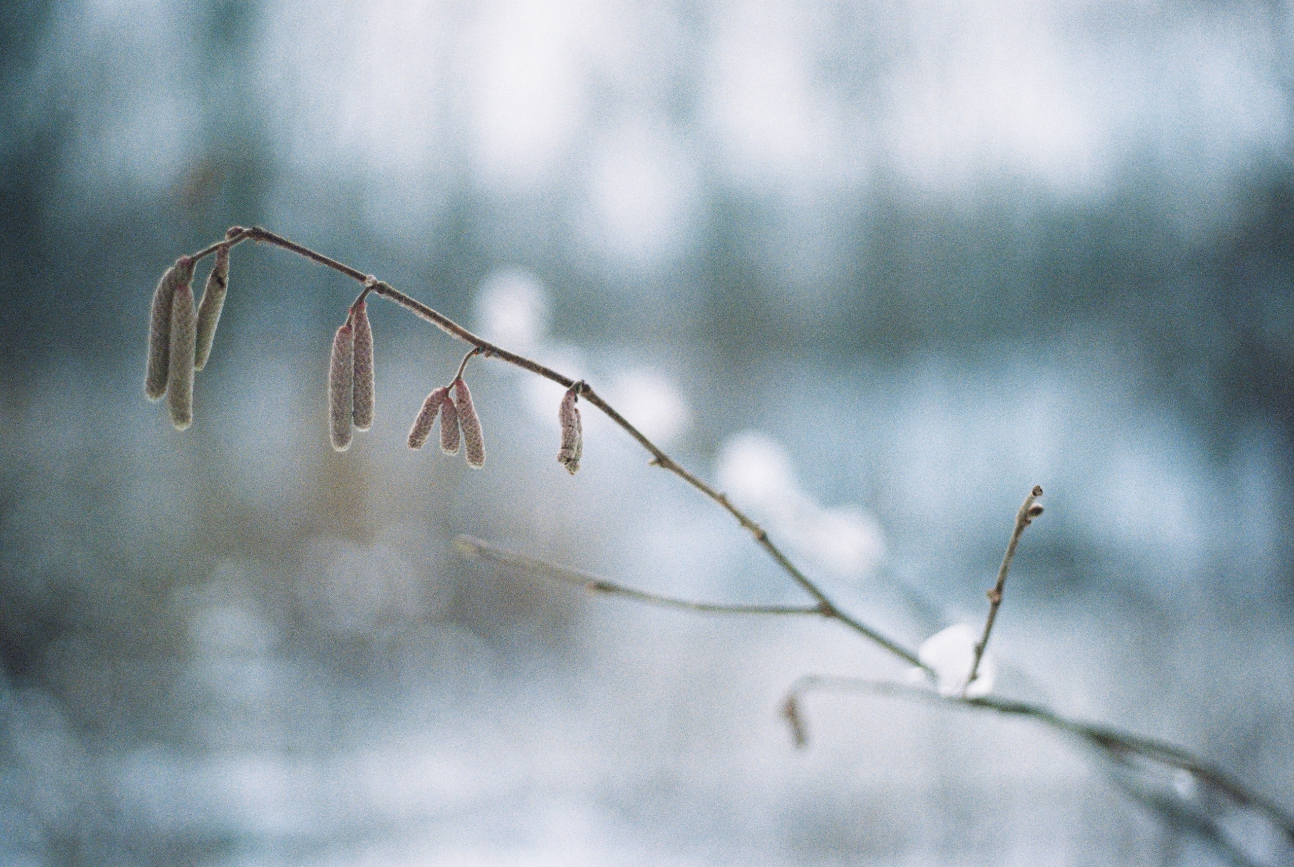 Loose Ends | Kemback