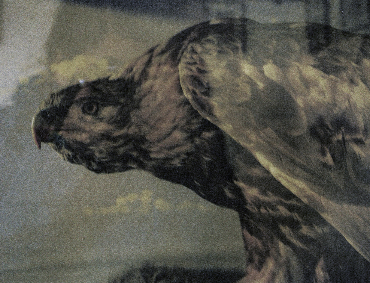 Mercurial Cycles | Hüma Utku & Patricia Wolf