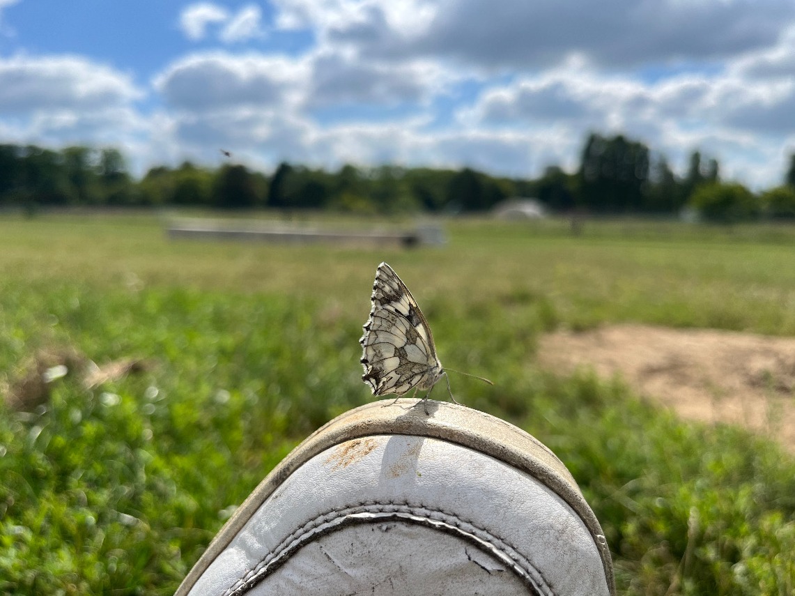 Wildlife | DJ Lost & Tom Kutsche