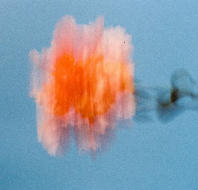 Musikzeit Spring edition | Julia