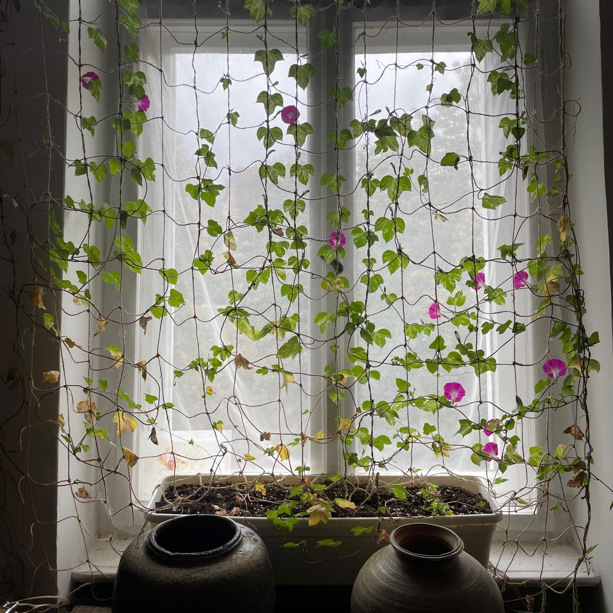 Residency | ahmedshk & Gato