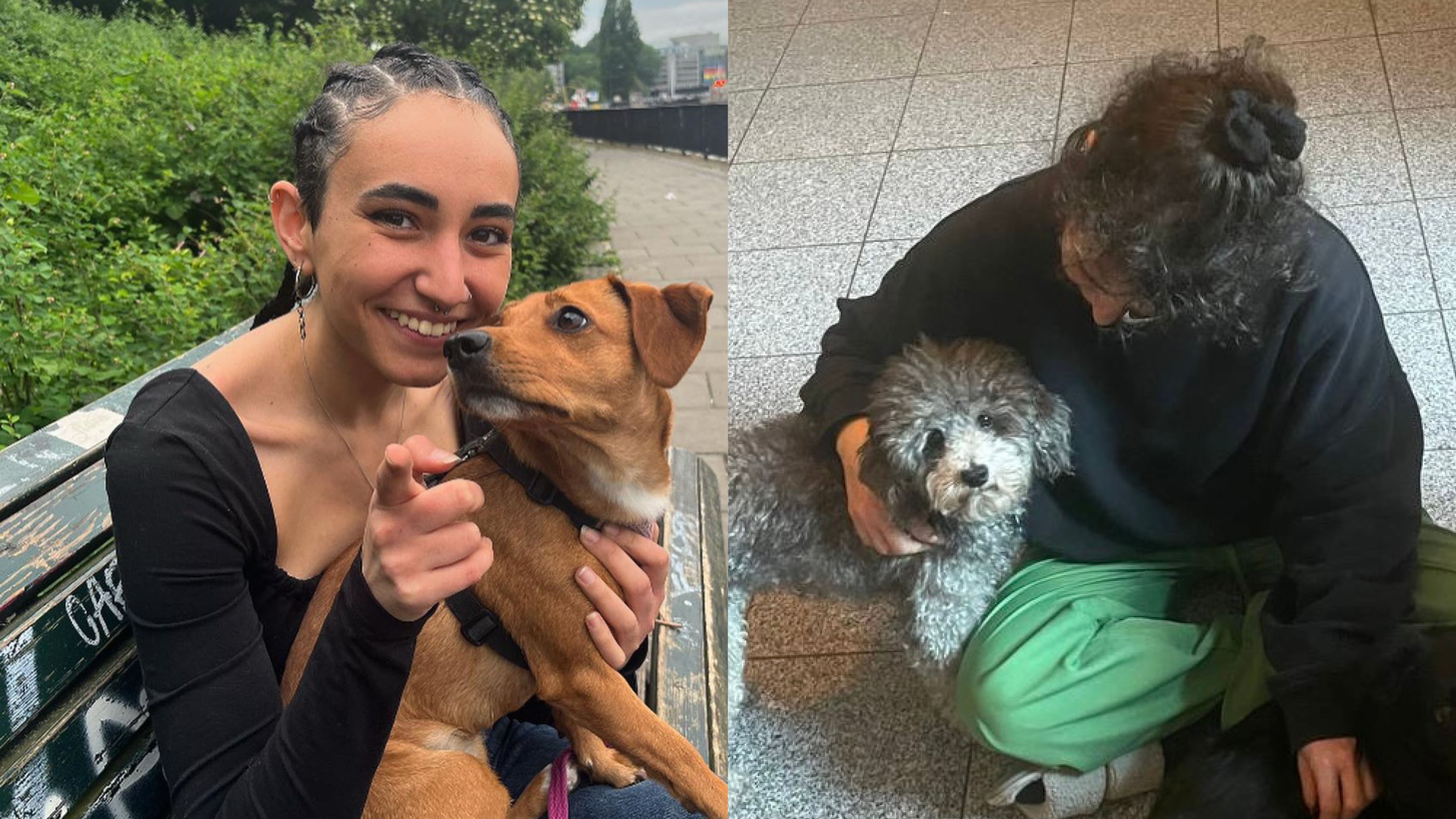 Therapy Dog | ophélie & Aalia