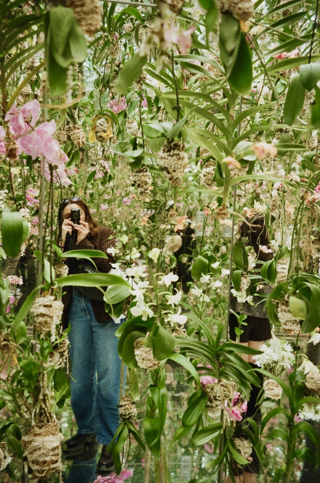 Partisan Records | Connie Rose