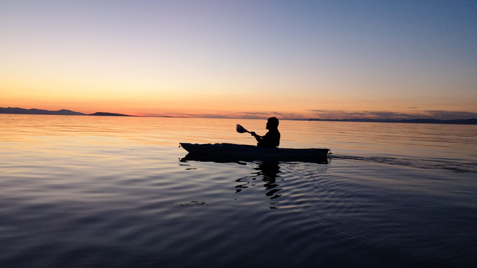 Wet Dreams | King Sleepy