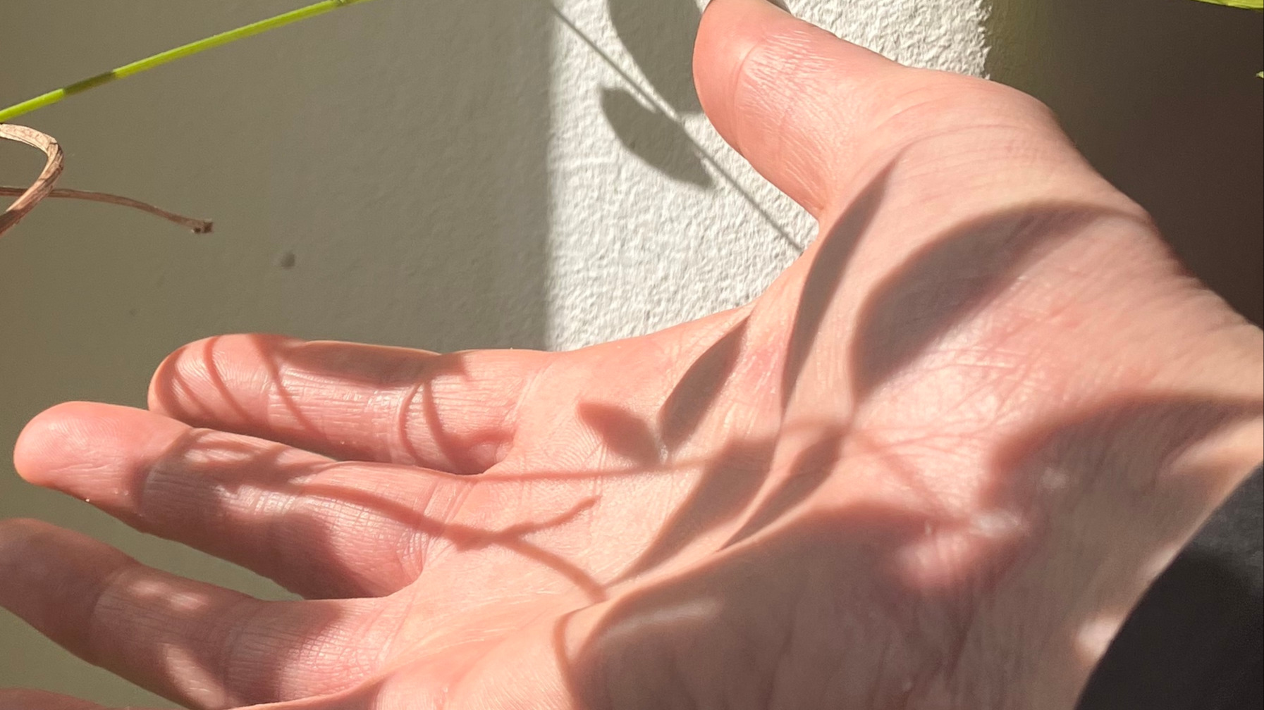 COMPLEX / acoustic lights | Resom