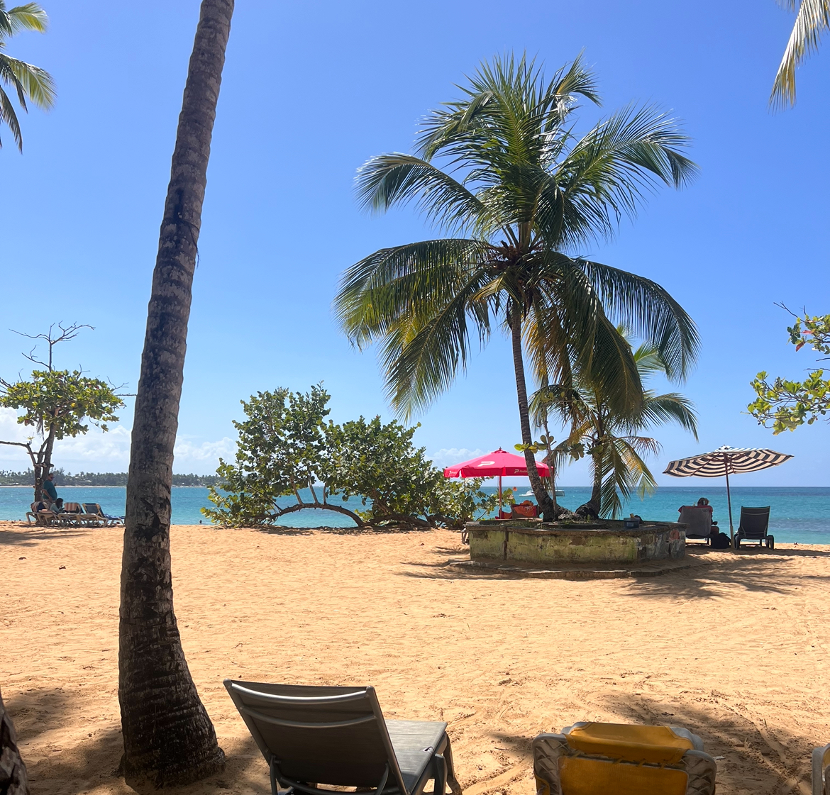 Trippy Caribbean | Jefe Marrón