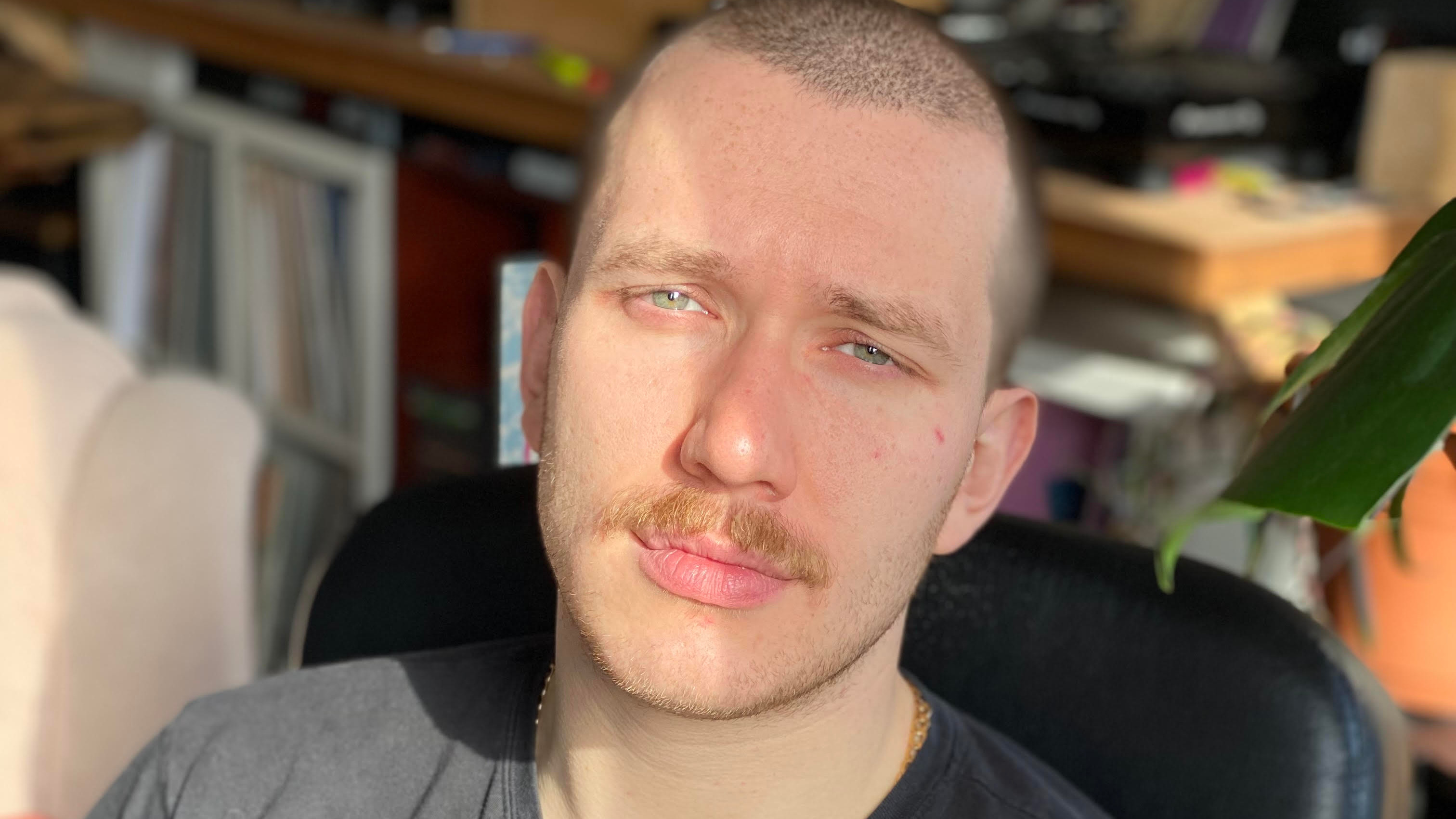 Everlasting Pictures