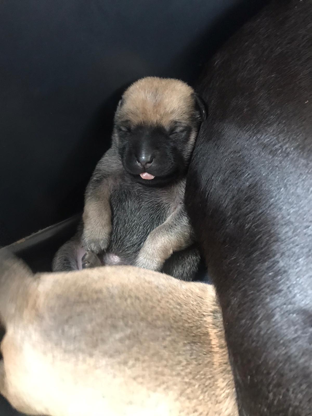 SALT!  | Caroline Lethô & Mafalda Mais