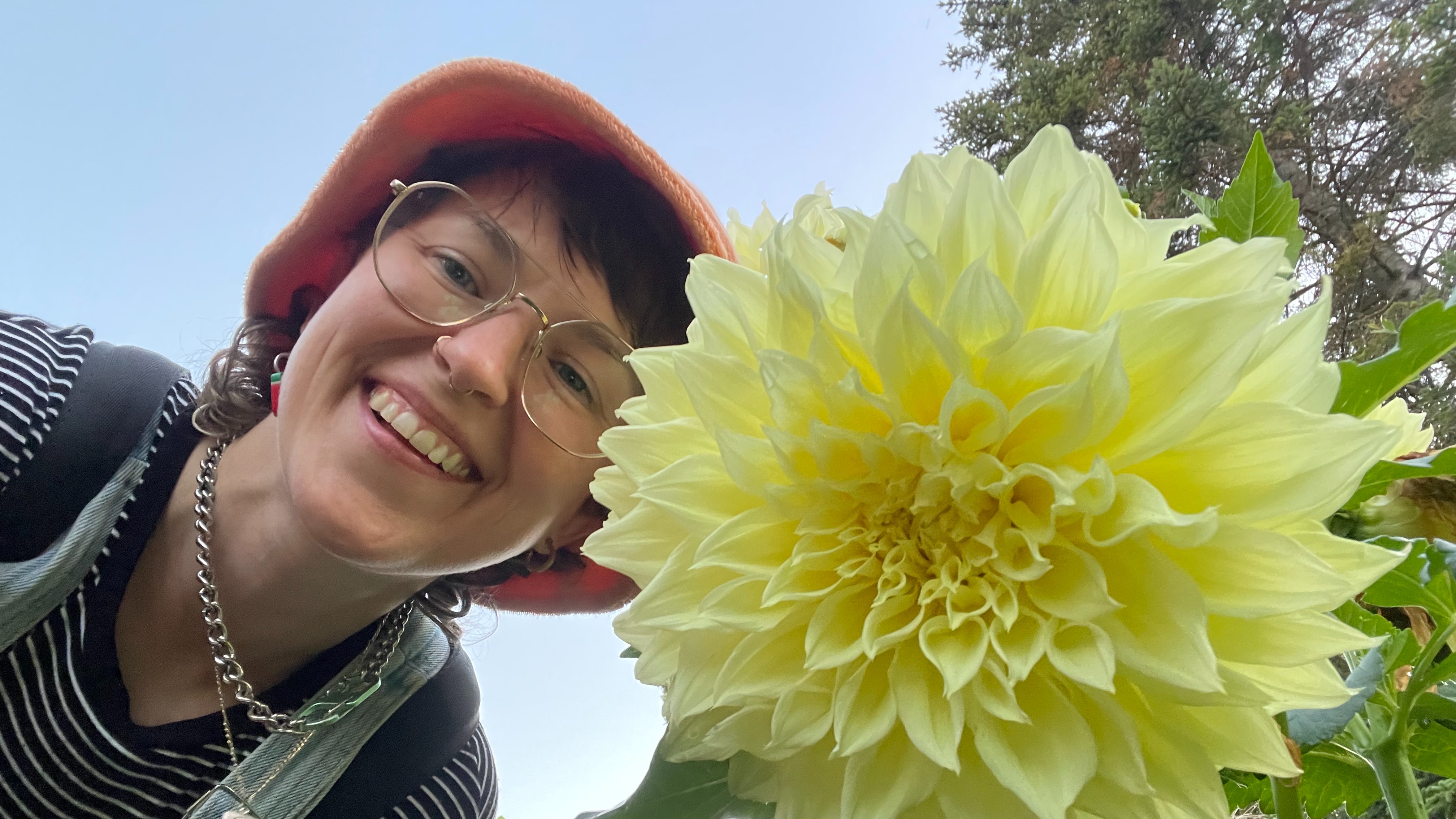 The Breakfast Show | Sarj