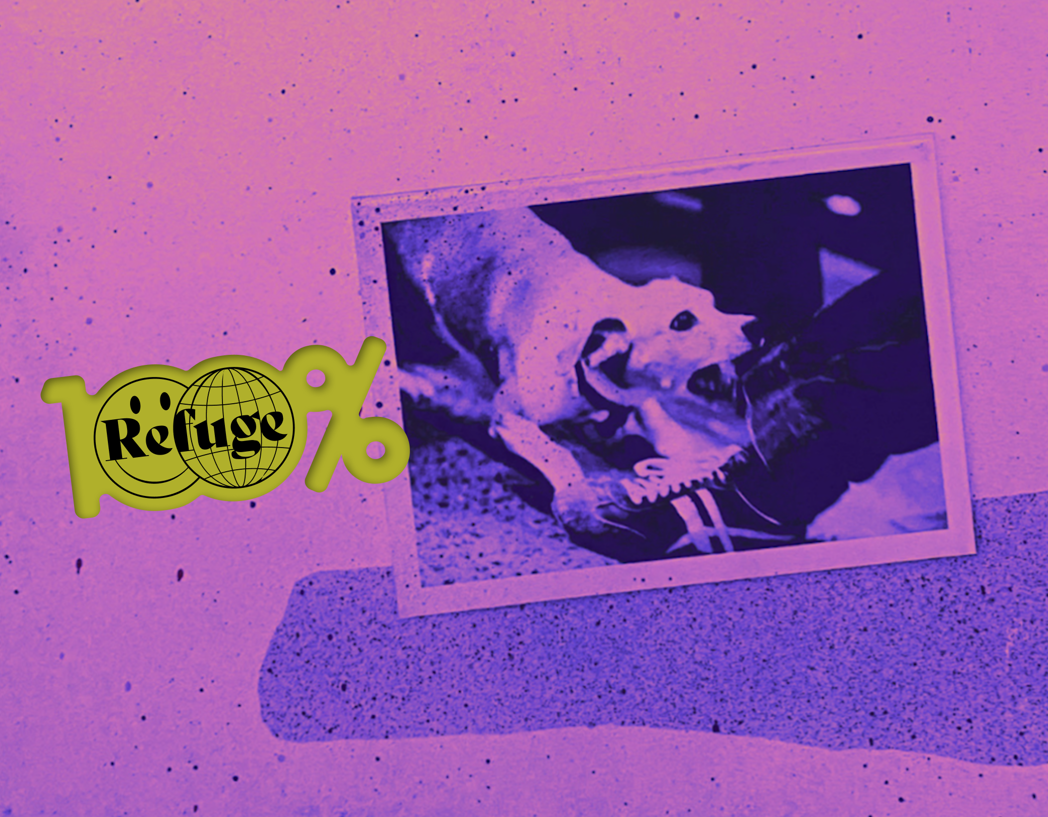 100% Fleetwood Mac | hi.fí 