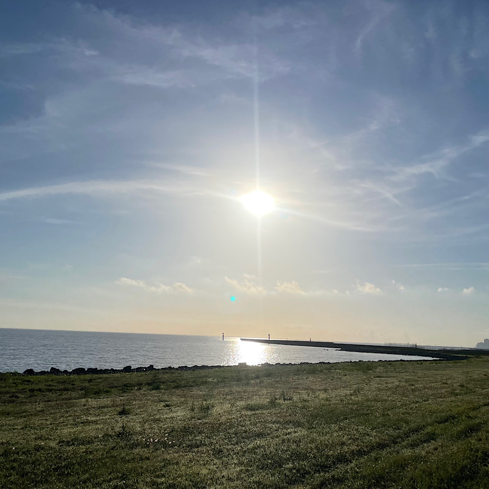 the kids are alright | bella