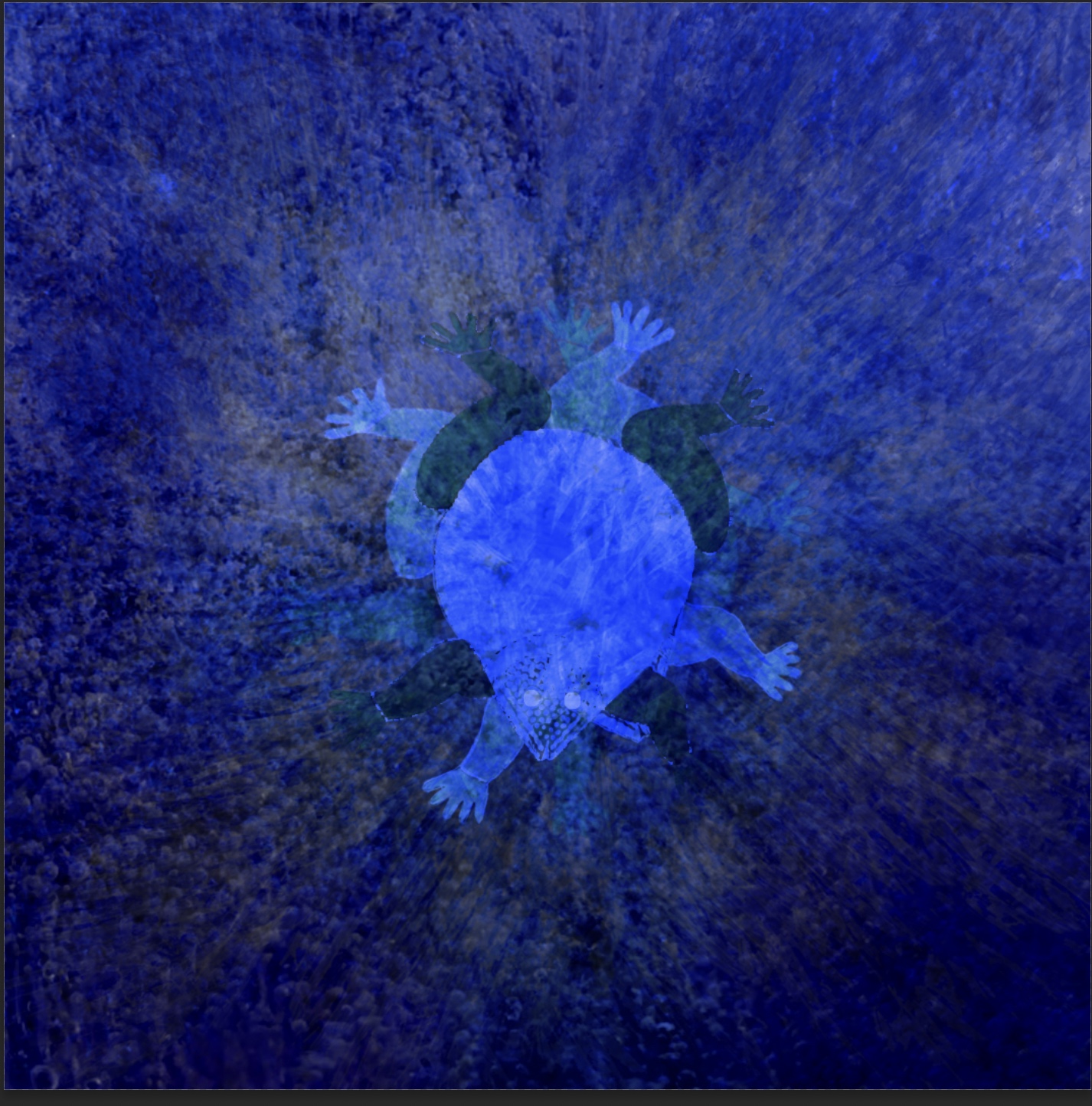 The Garden | chali, OPOKU & macchli