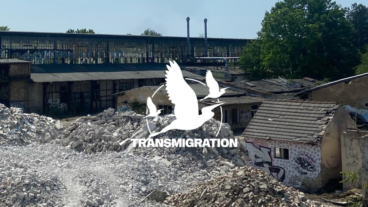 Transmigration | David Fogarty & Andrea Dama