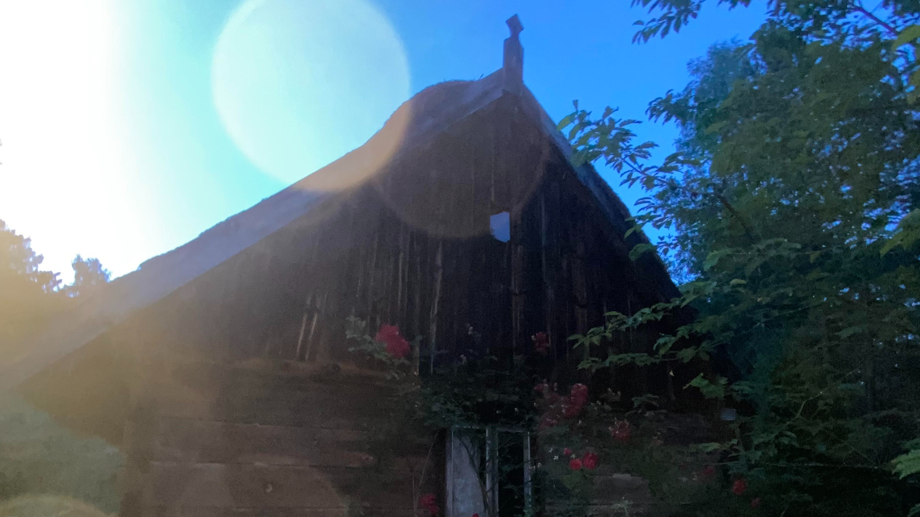 kołysanka mix | Rozy