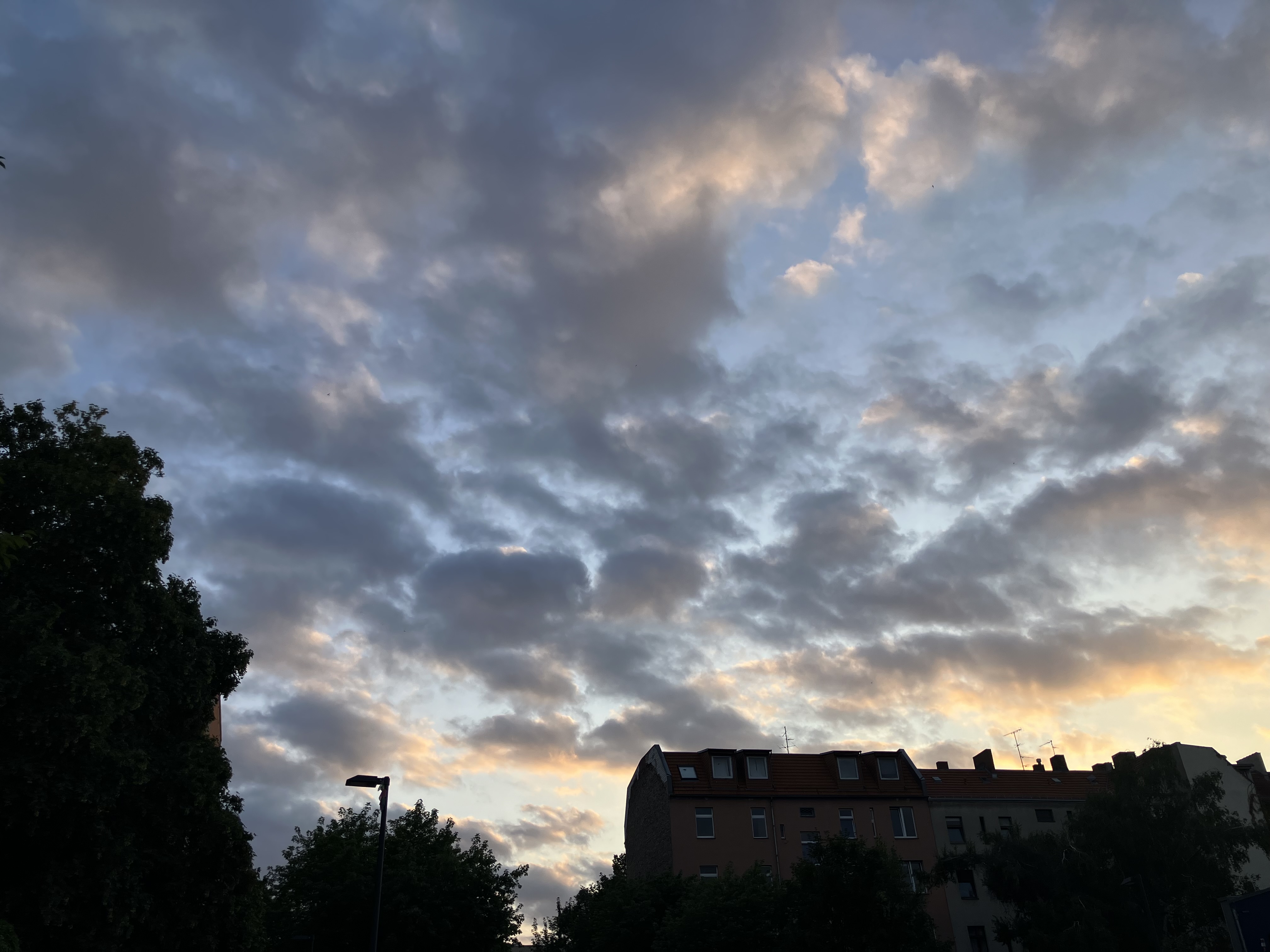 Morning Drop | Myriam