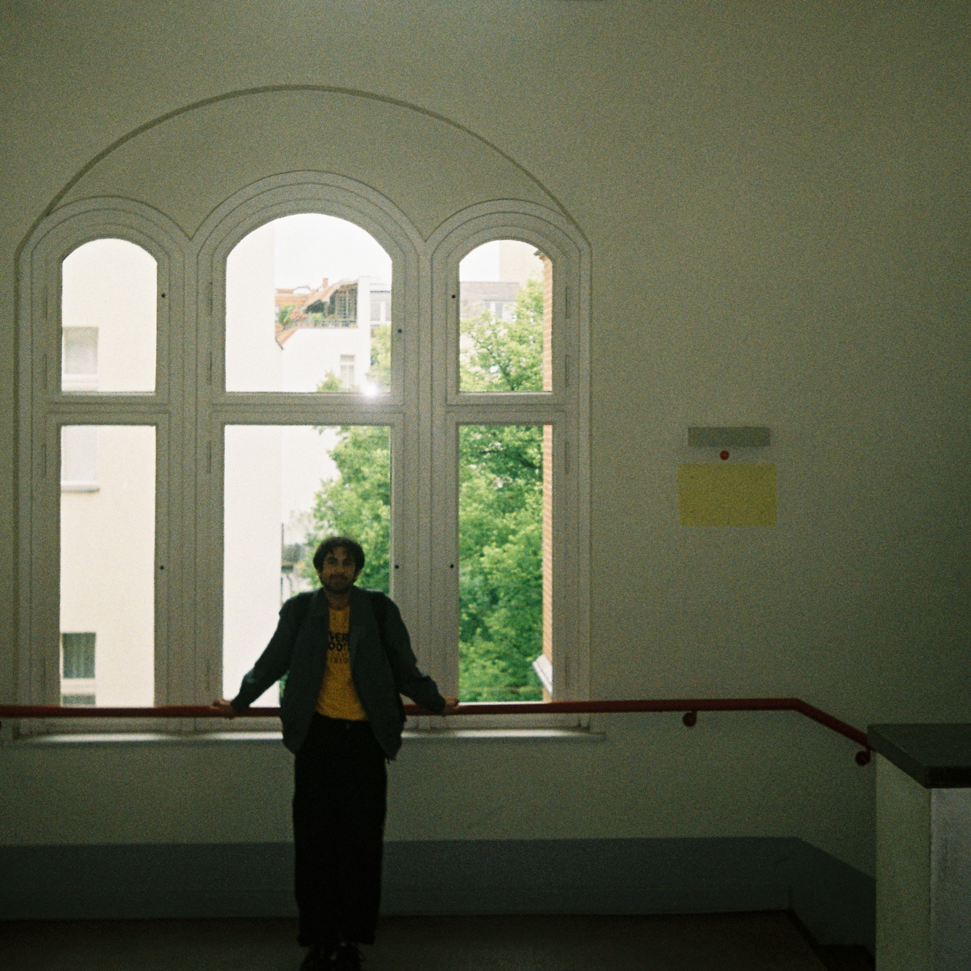 Fun Facts: Samples | Immy