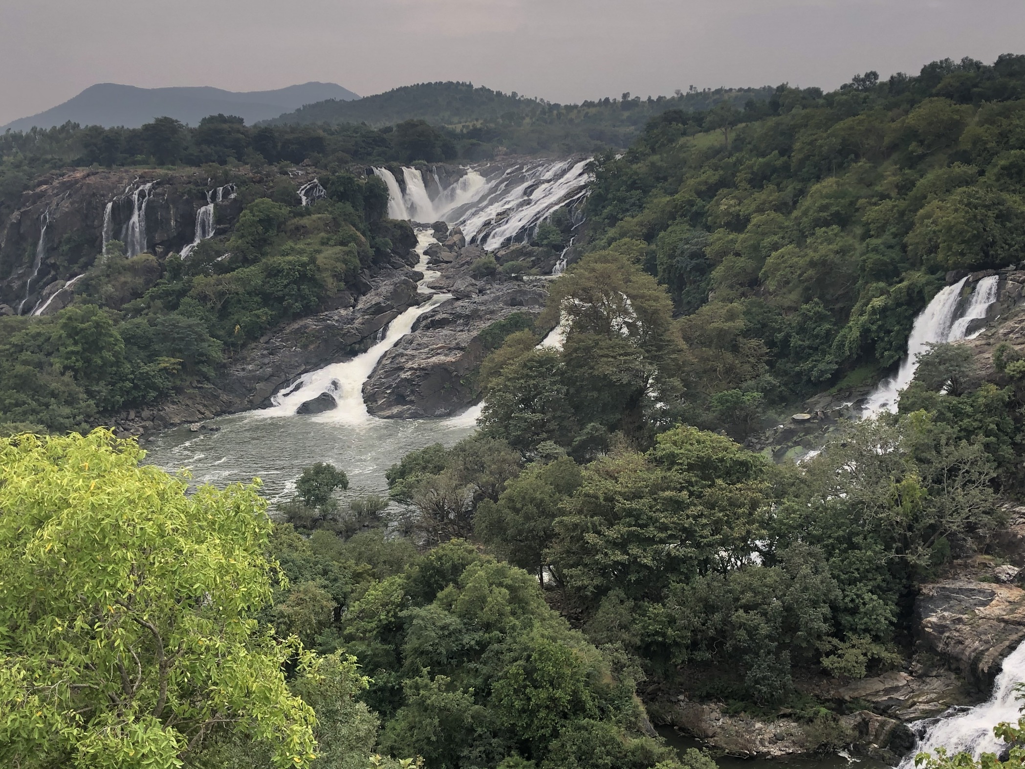 Spicetape | Asmi Shetty & Sameer Rahat