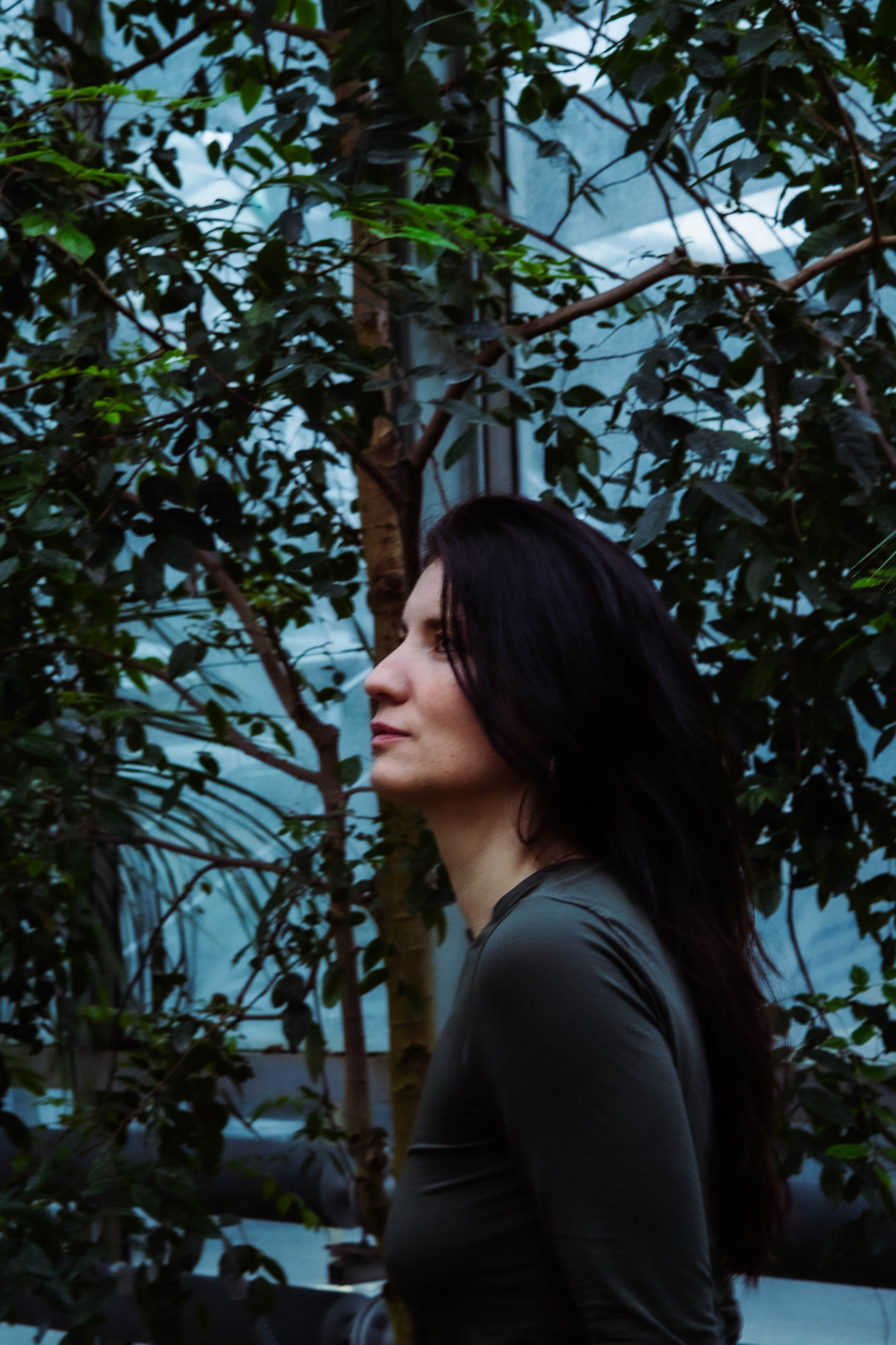 Guest Show | Mayashiba