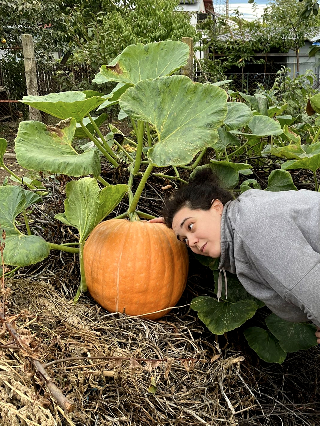 Smoothin Groovin | TRU:L