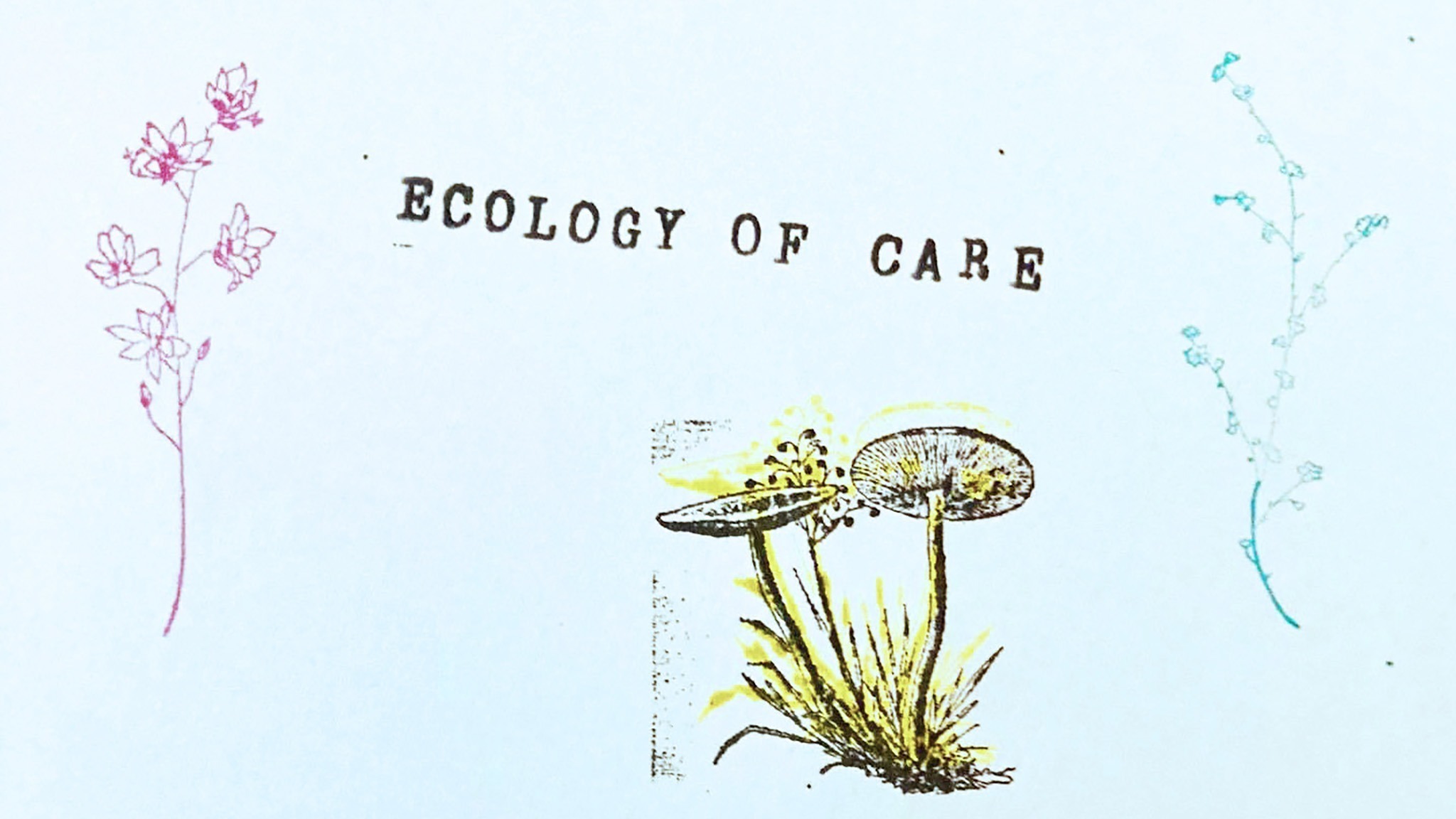 Ecology of Liberation | Ecology of Care