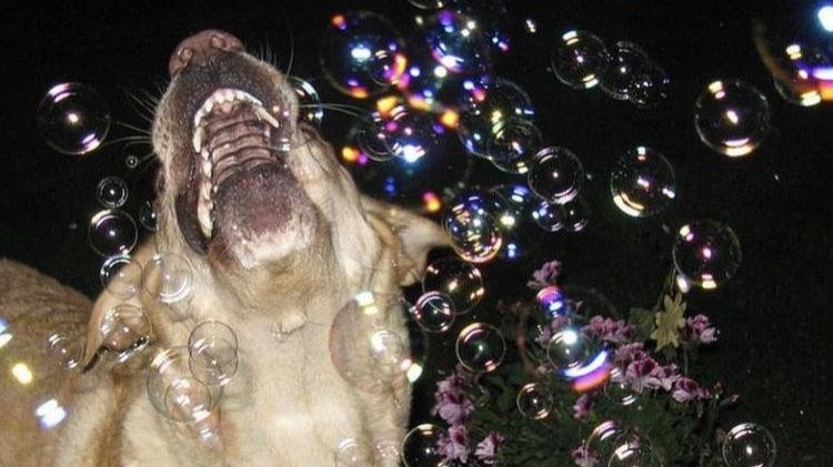 Somewhere Else | esile & Glint