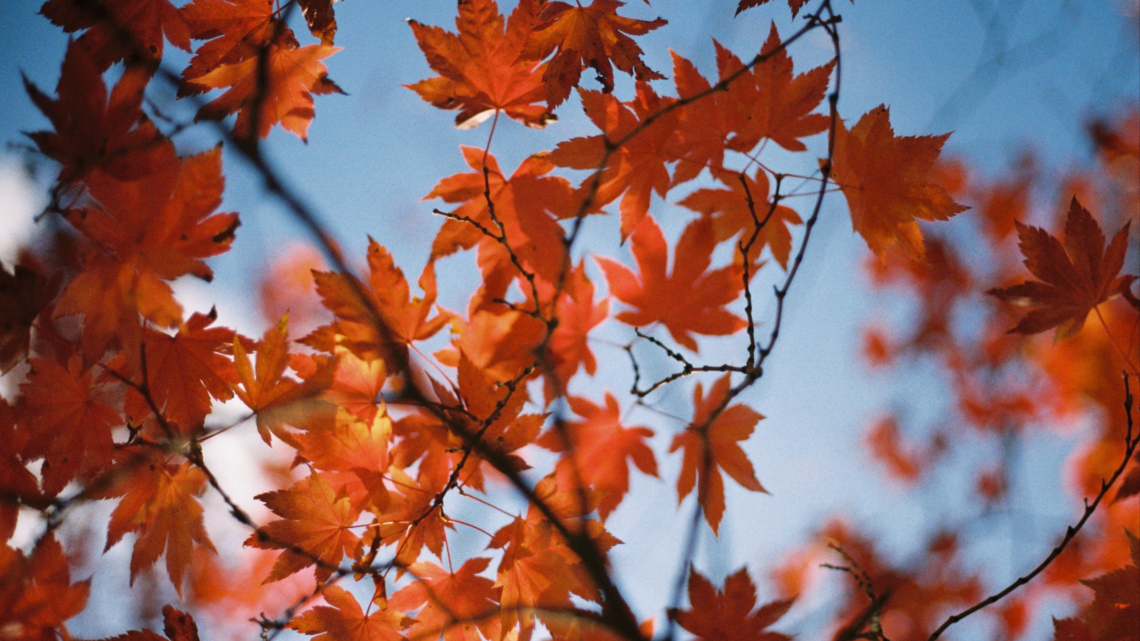 Loose Ends | Kemback 