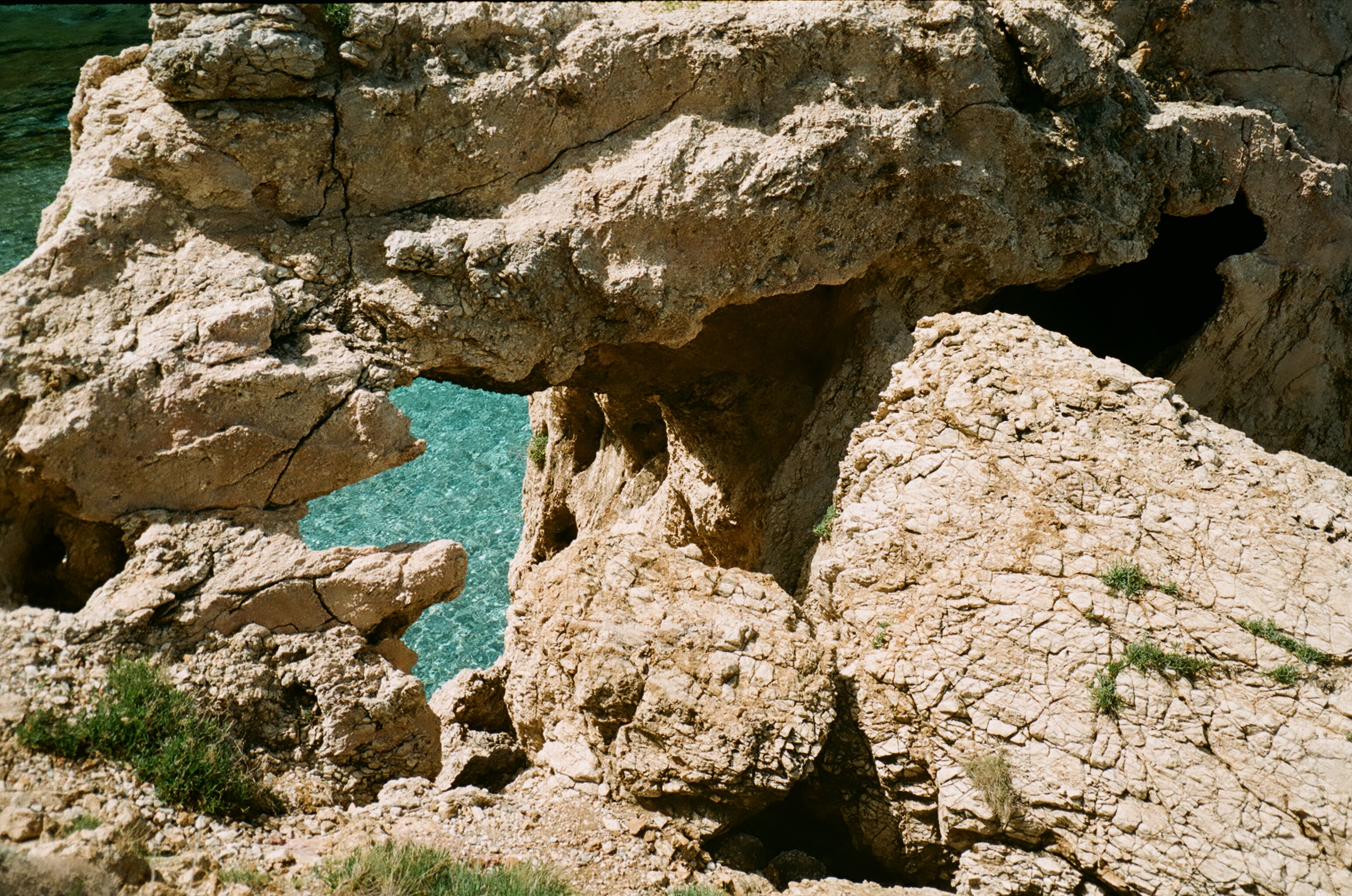 Extra Oil | Sophoula