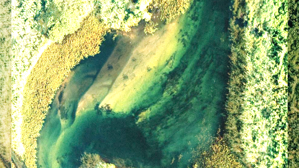 Untitled 909 | basic chanel