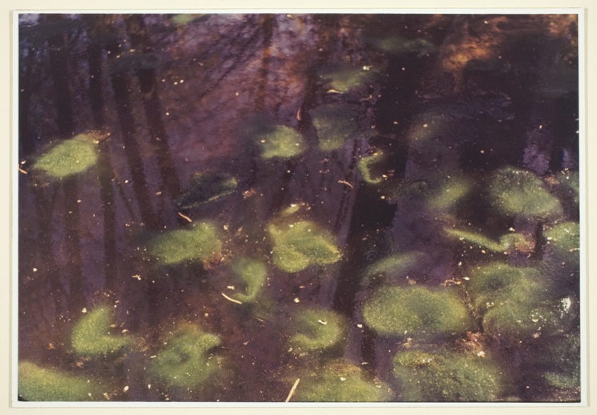 Leila Samir | Guest Mix