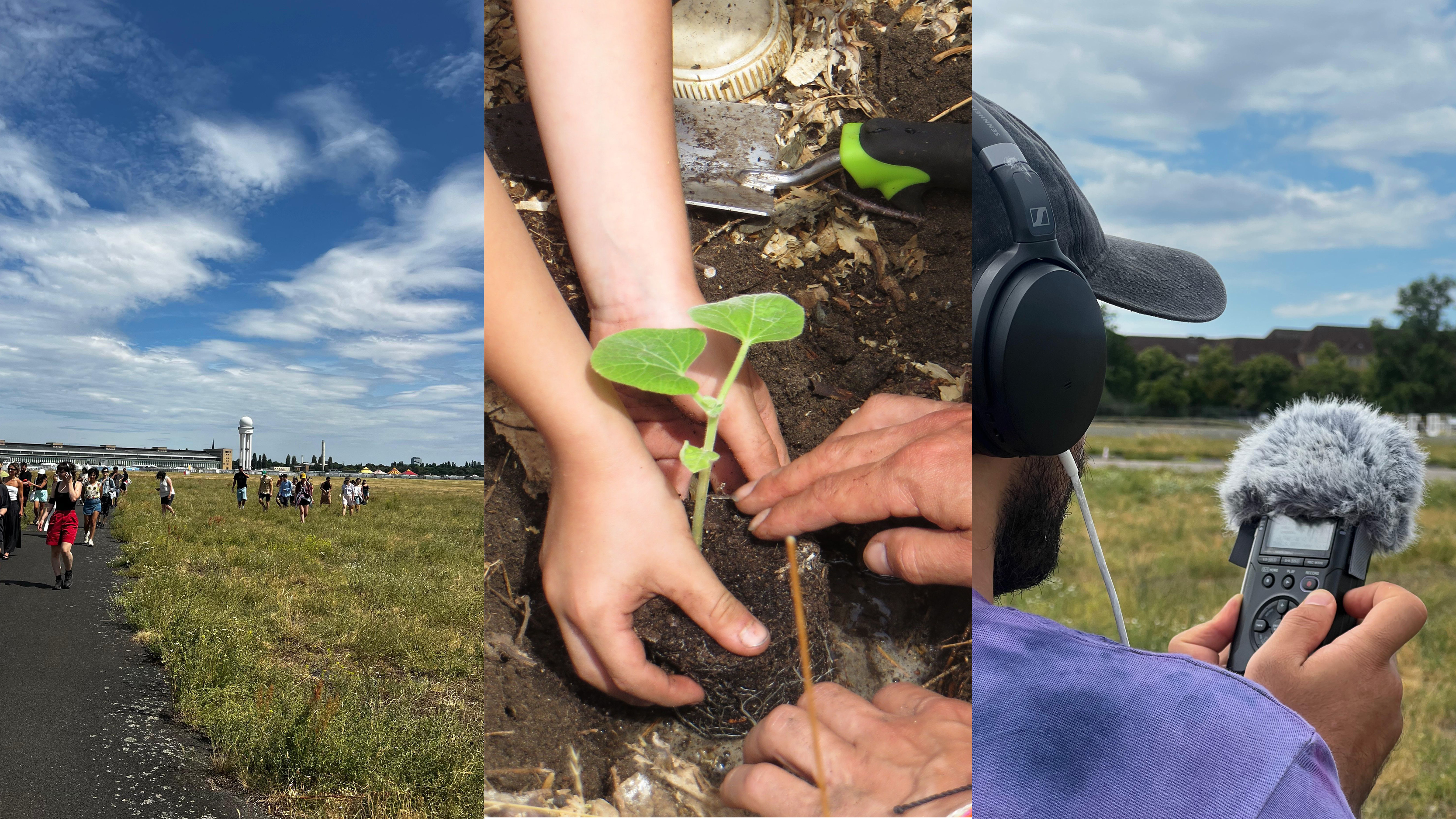 SUMŪD صمود A COMPOSED SOUND WALK | Fighting Seeds