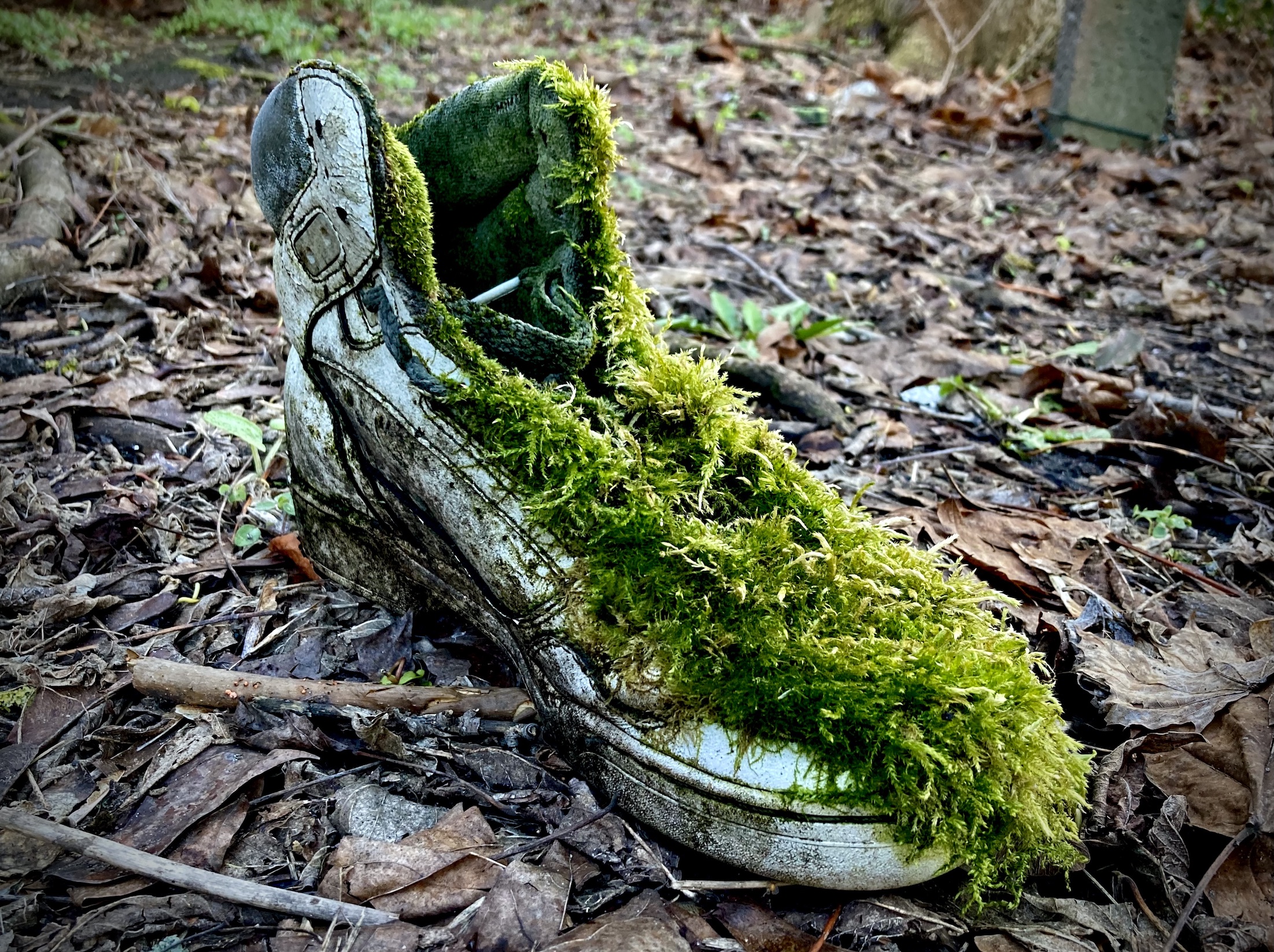 fresh notes from underground | naturalblaster