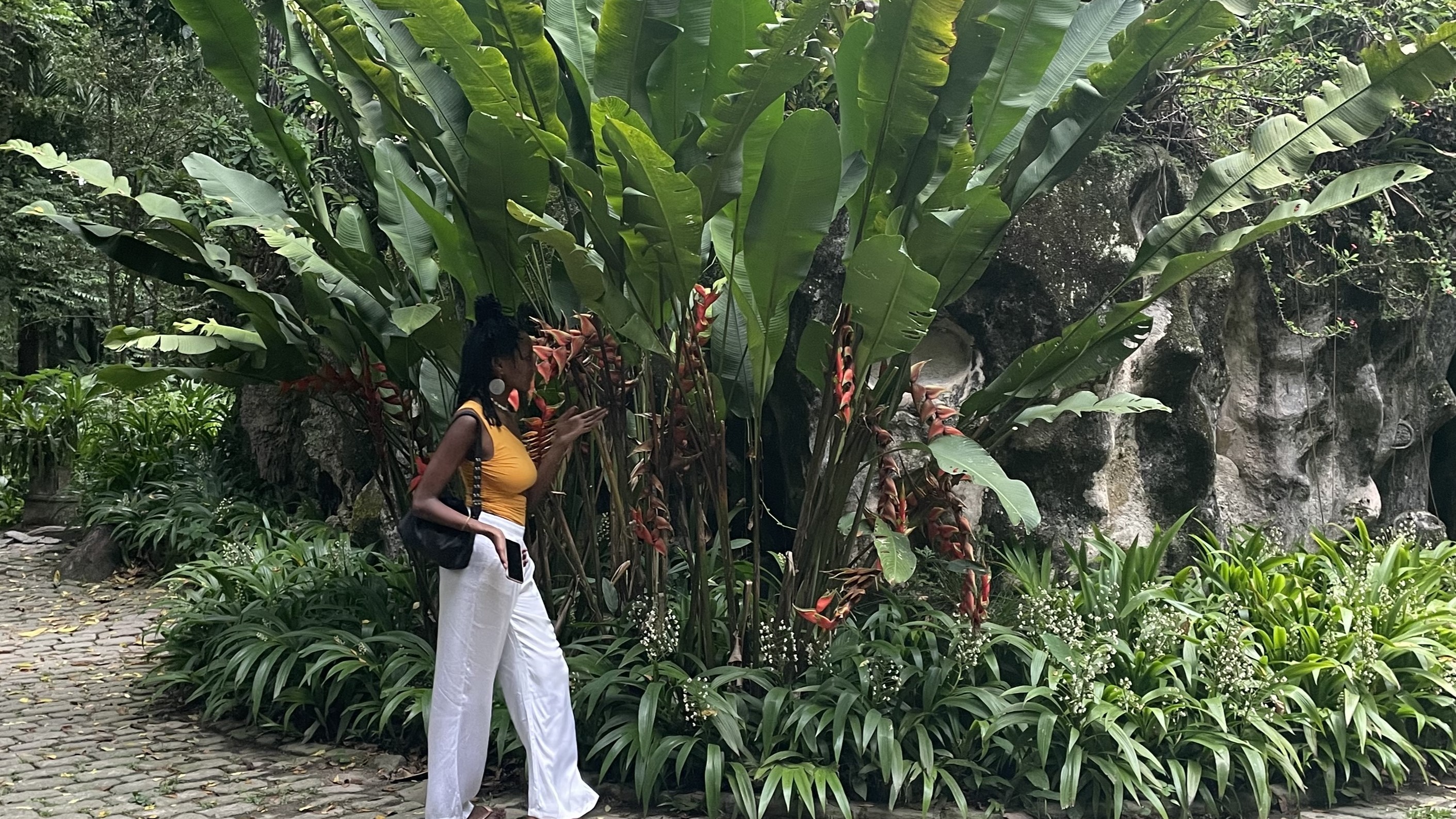 Cosmic Sonic | afrodisiac