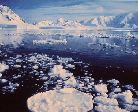 Jank Incorporated | Amanita