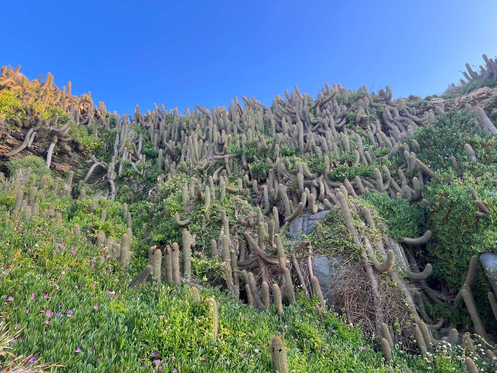 Deep Pop | Alias Error