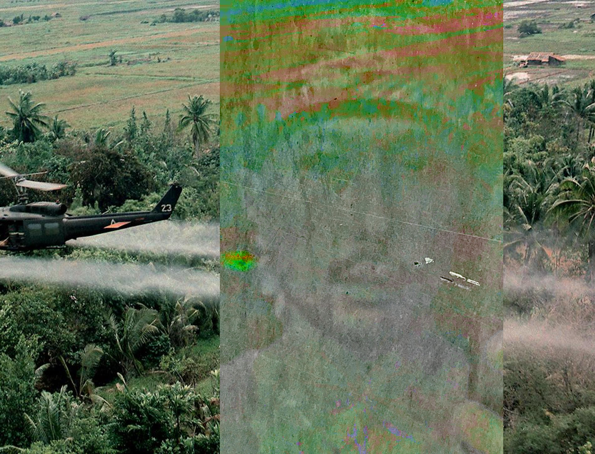 Regenerate | Esper Moss