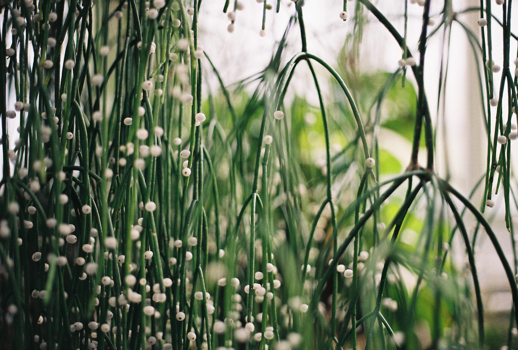 Loose Ends | Kemback