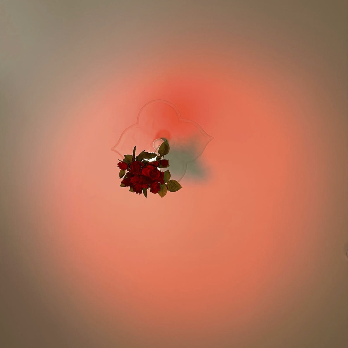 my living room turns to a rave. | Jefe Marrón