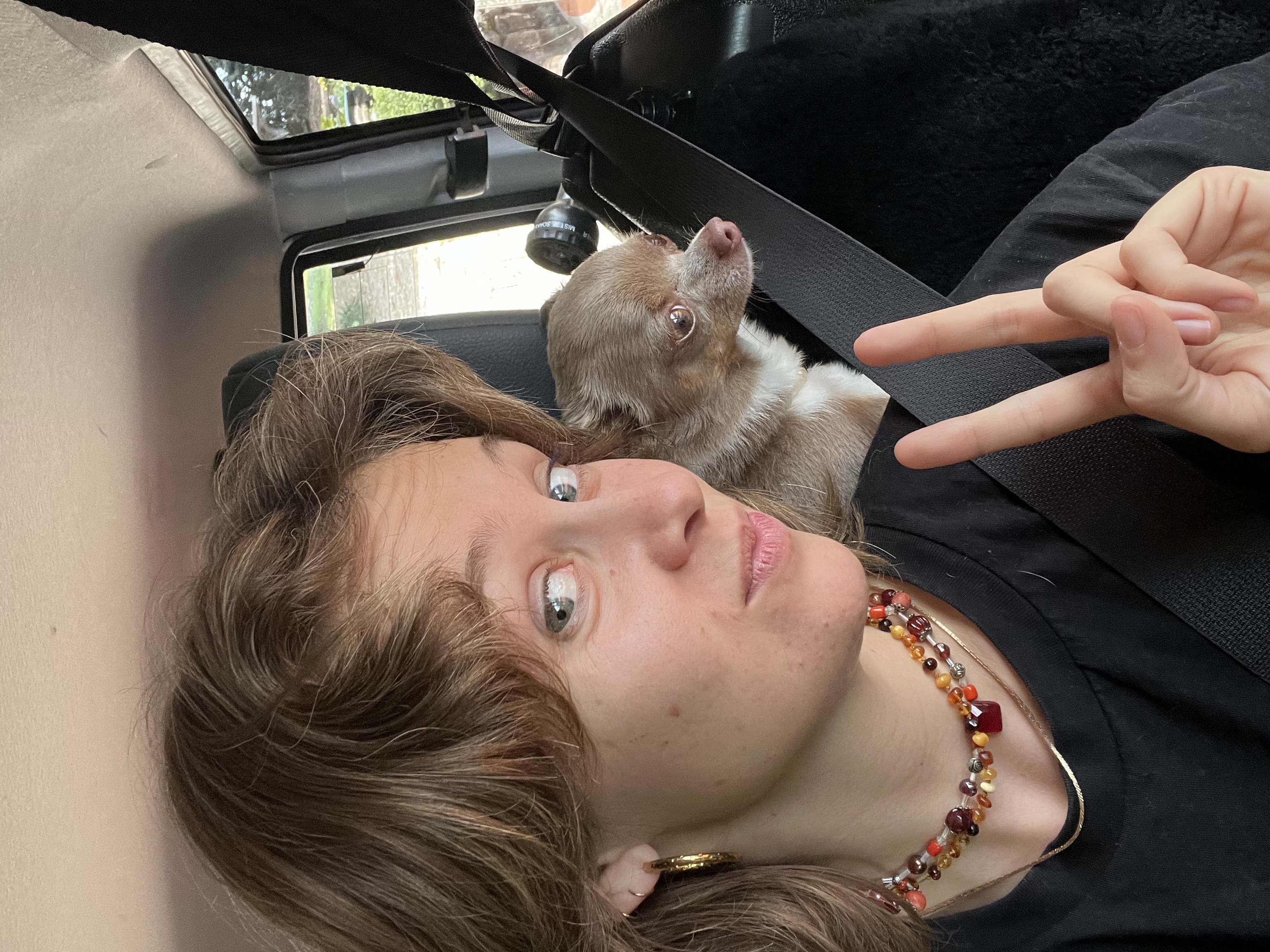 Beats Of No Nation | Squidgenini